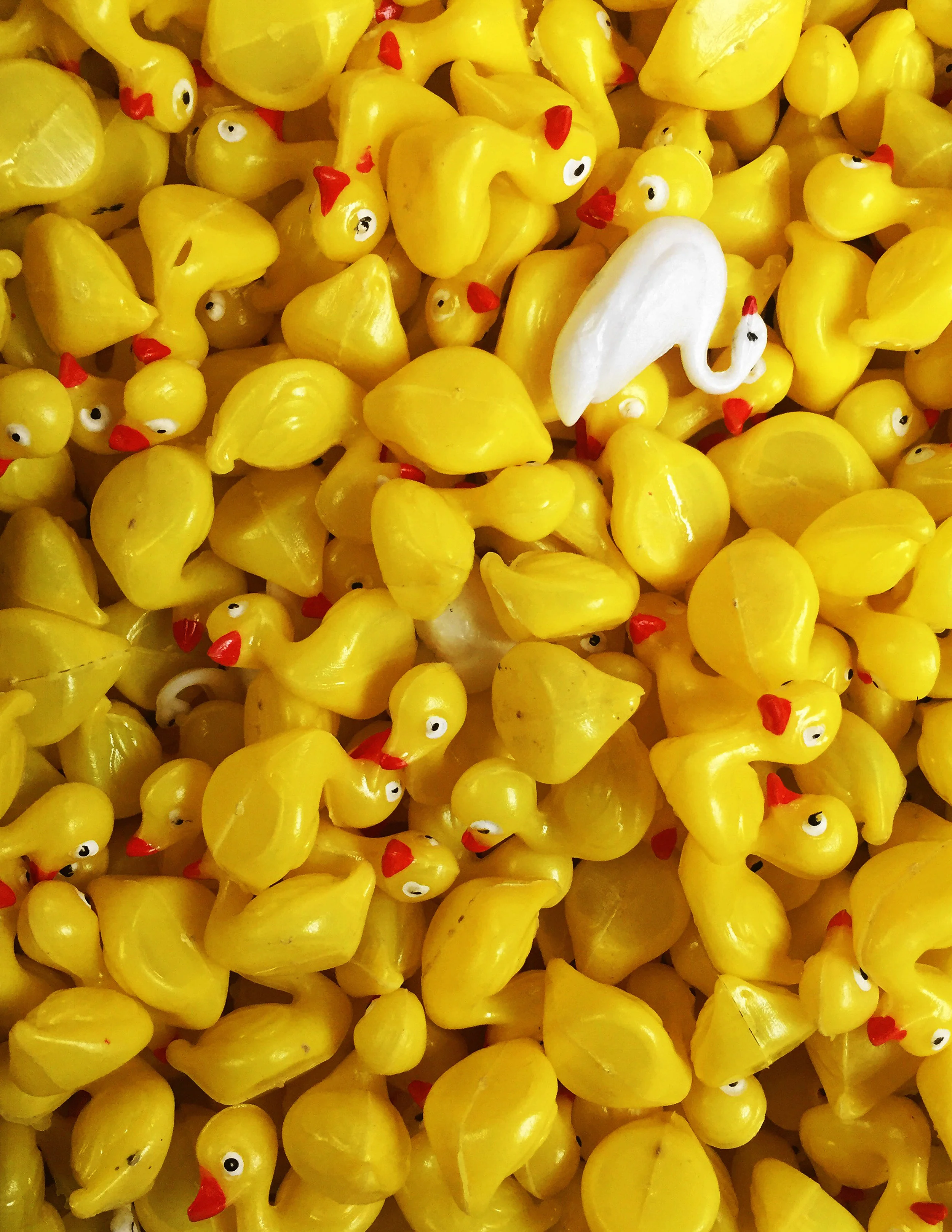 Yellow 07.jpg