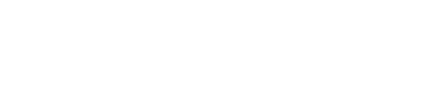 Budline Logotype Wht.png