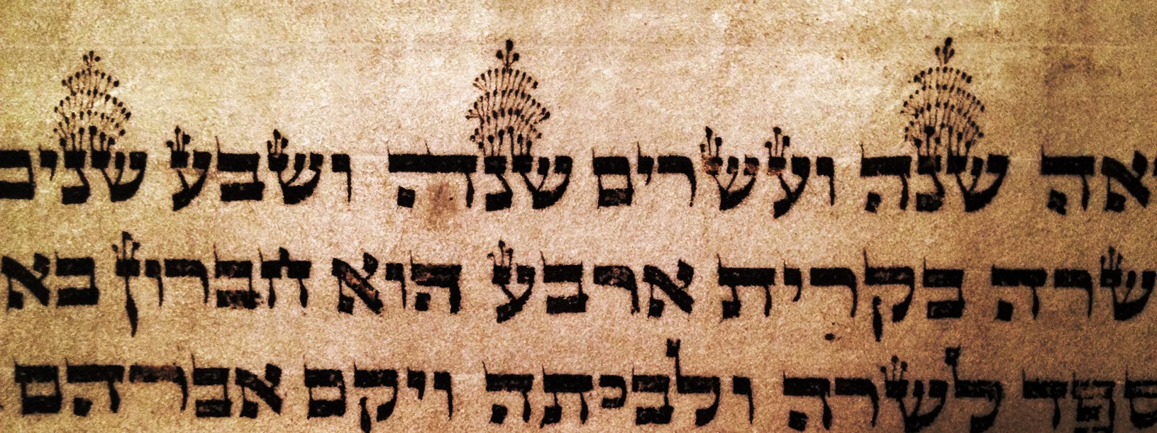 Elaborate+crowned+letters+on+an+19th-century+Ashkenazi+Torah.jpg