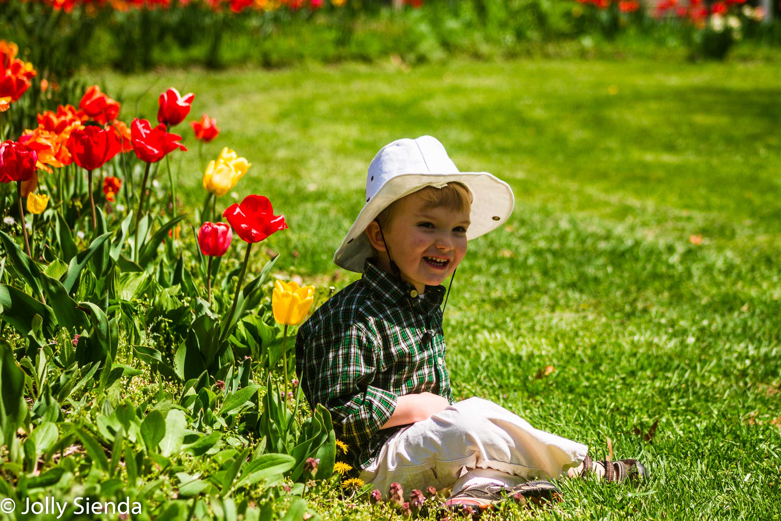 Chidlren's Portrait, Young Boy and Tulips