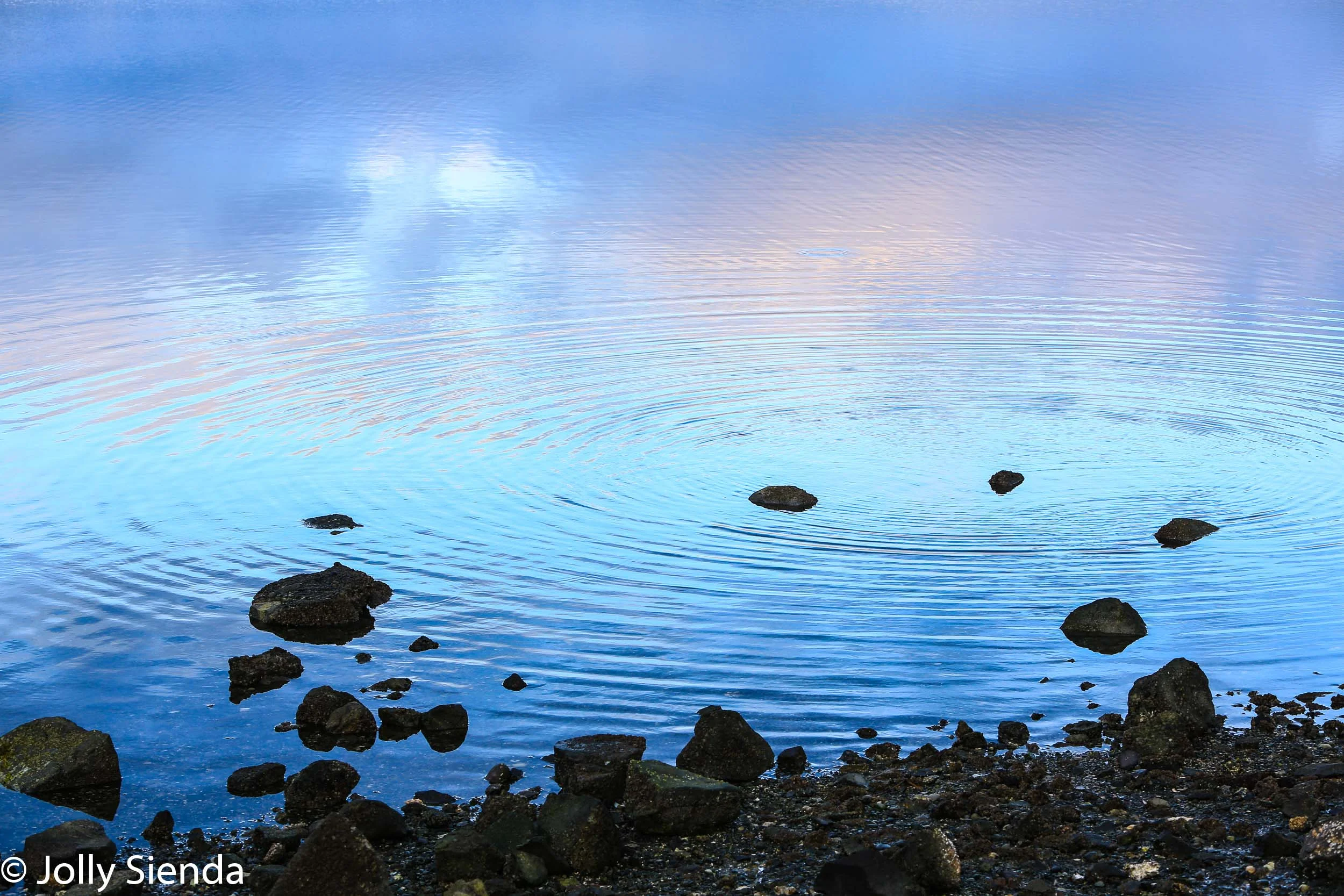 Circular pastel rings ripple on the water next to a rock beach a