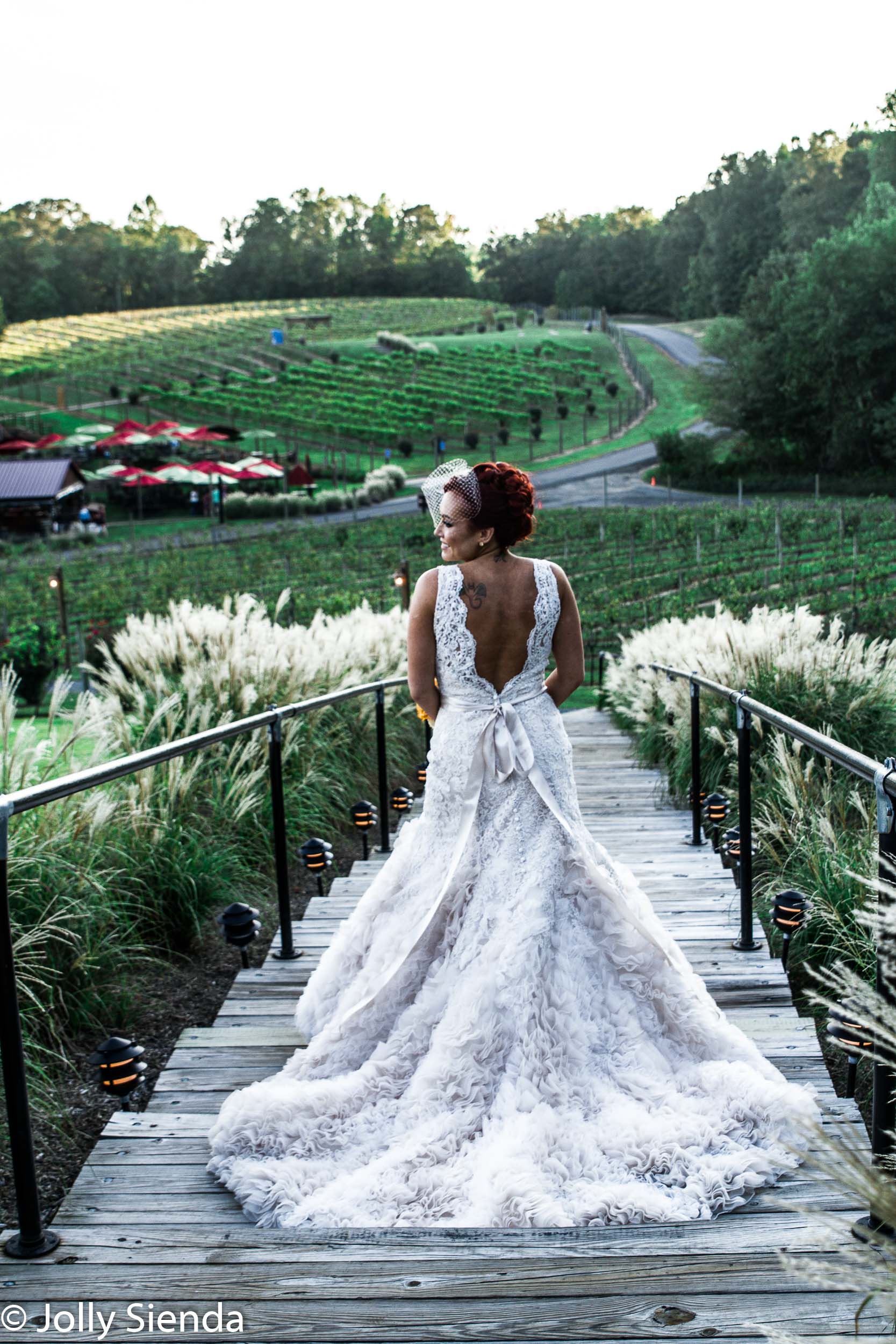 Outdoor vineyard wedding with the back of the bride and her dres