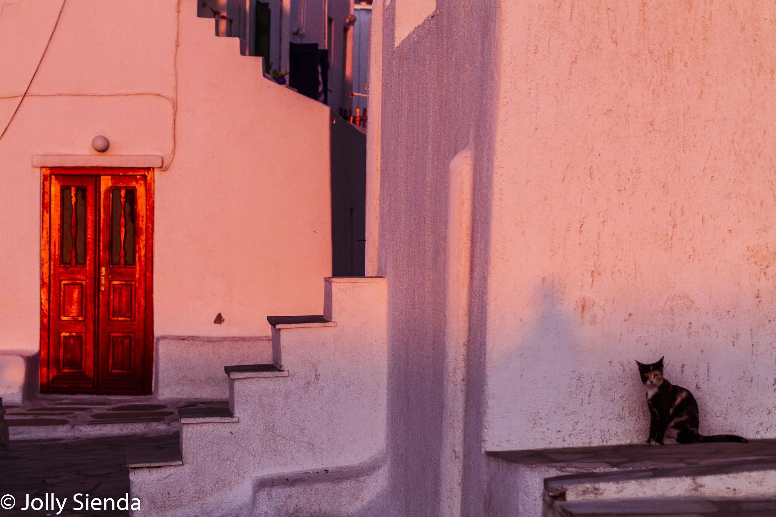 Red Door and the Calico Cat at Sunset, fine art photography