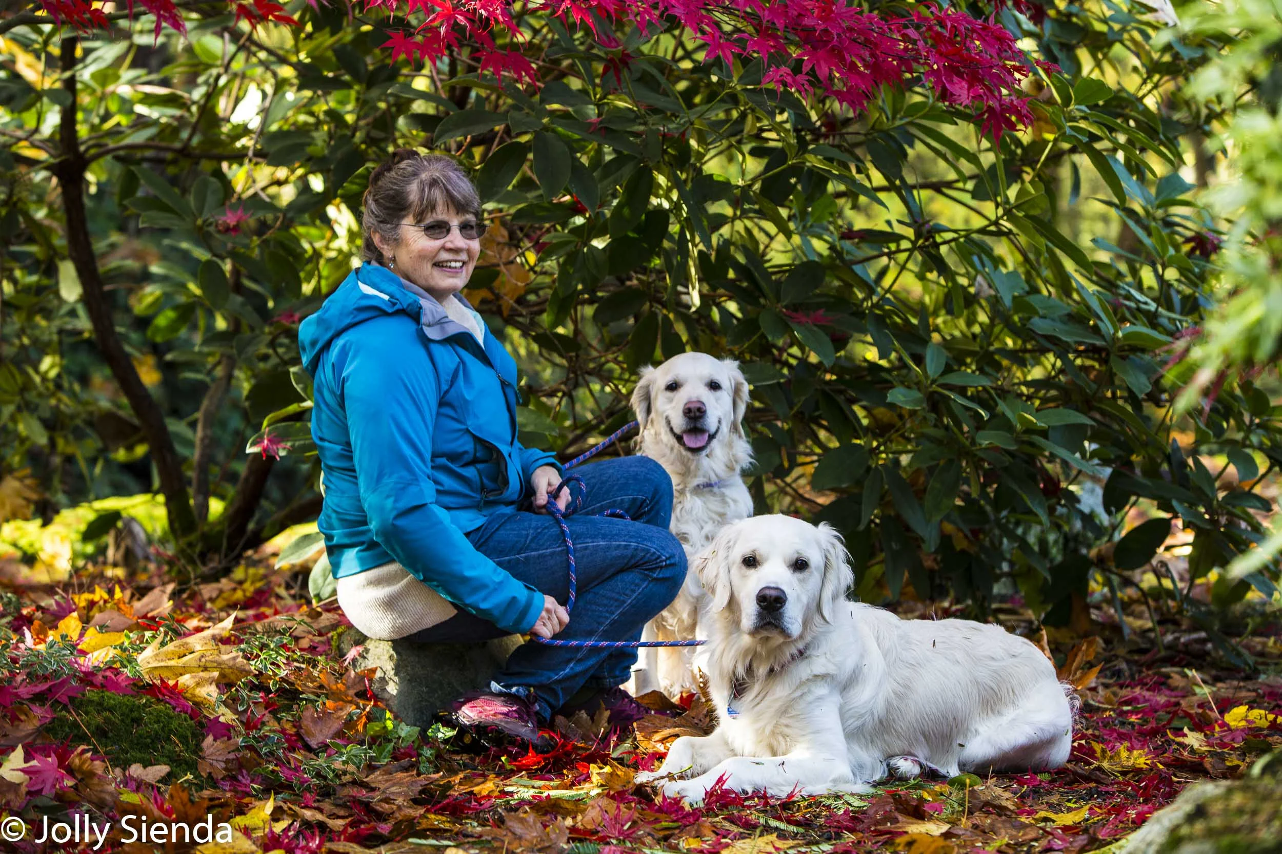 Brinkley and Abby Dogs