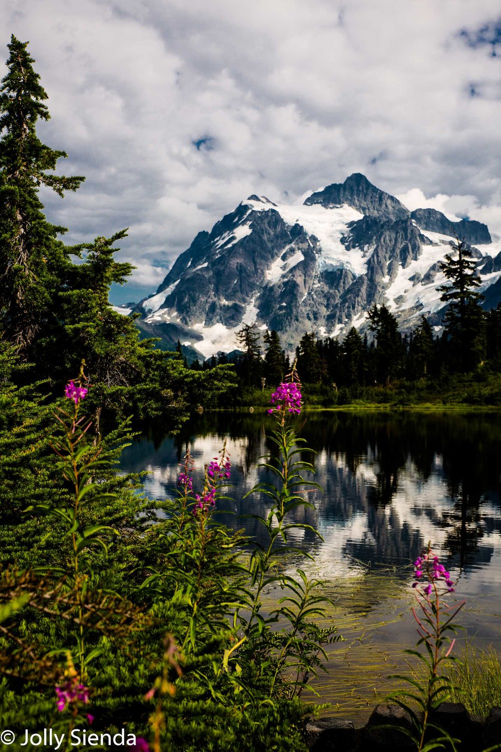 JollySiendaPhotography-0371_m5m71k.jpg