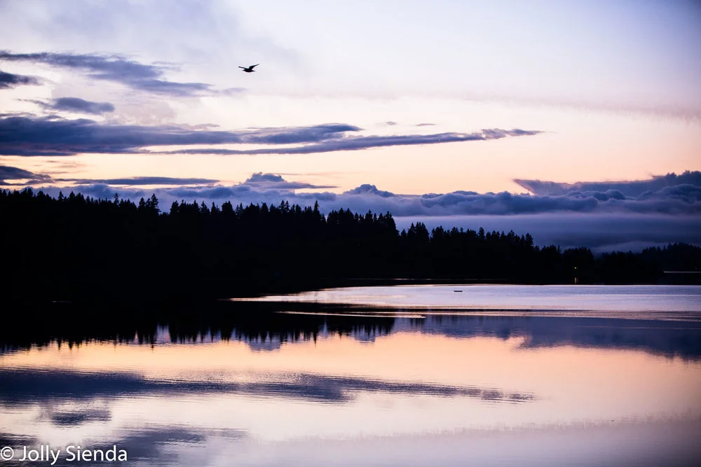 JollySiendaPhotography-1180_oq7odq.jpg