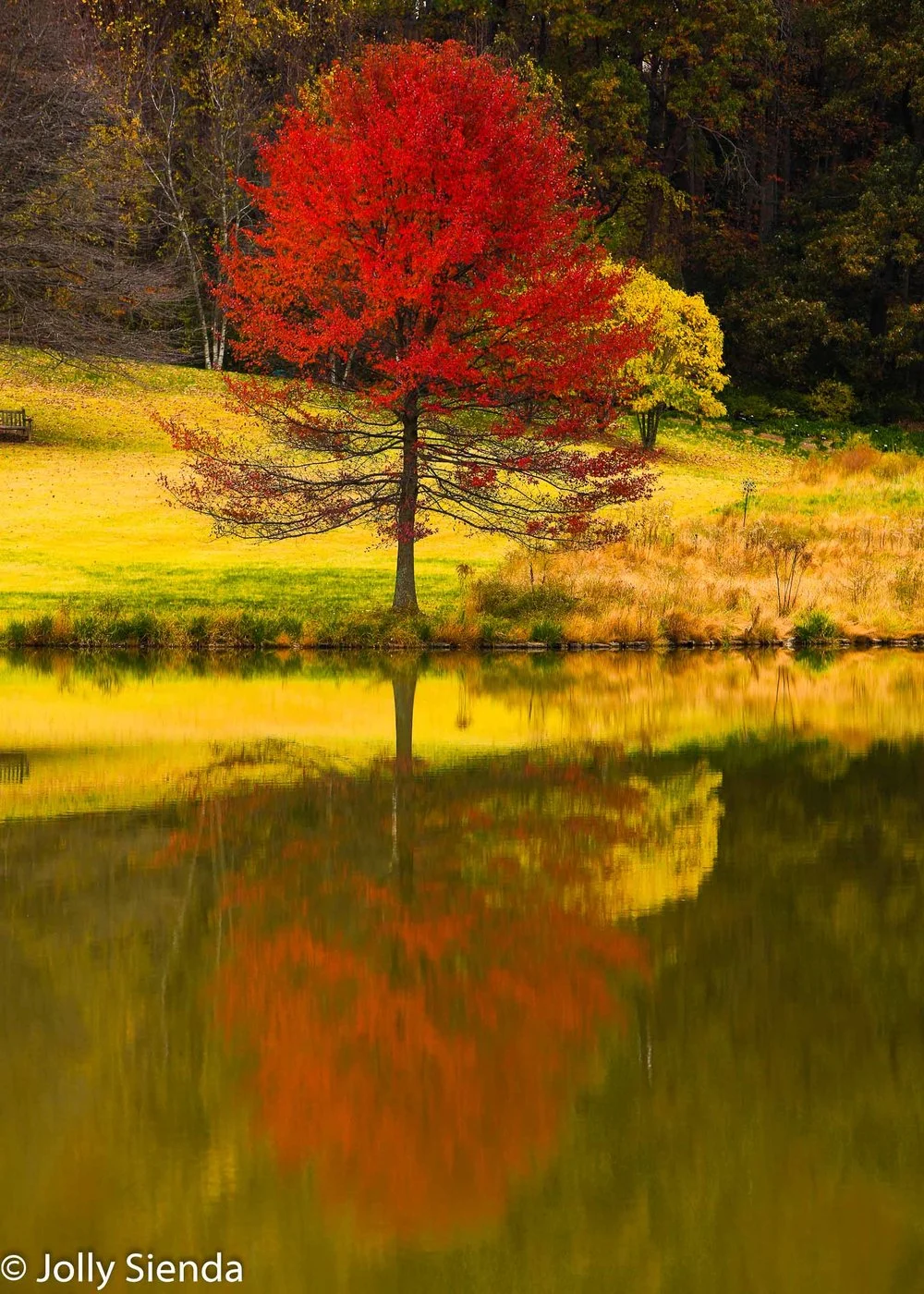 JollySiendaPhotography-1576_mnlc39.jpg