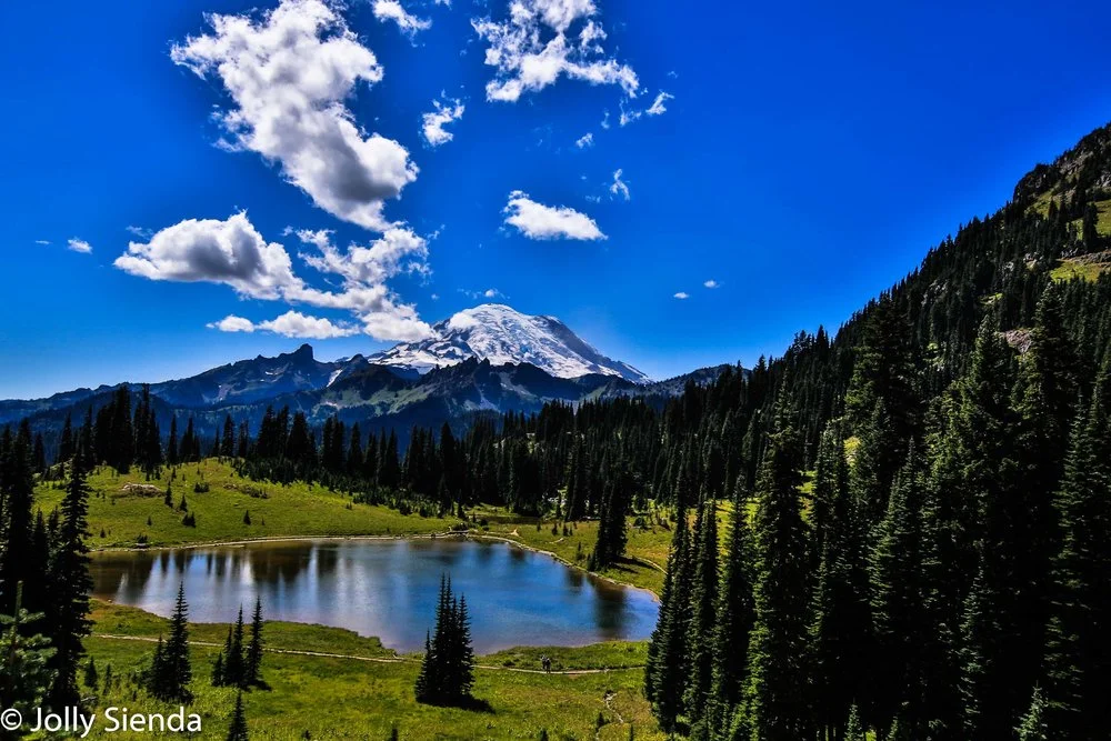 JollySiendaPhotography-2725_dcmbth.jpg