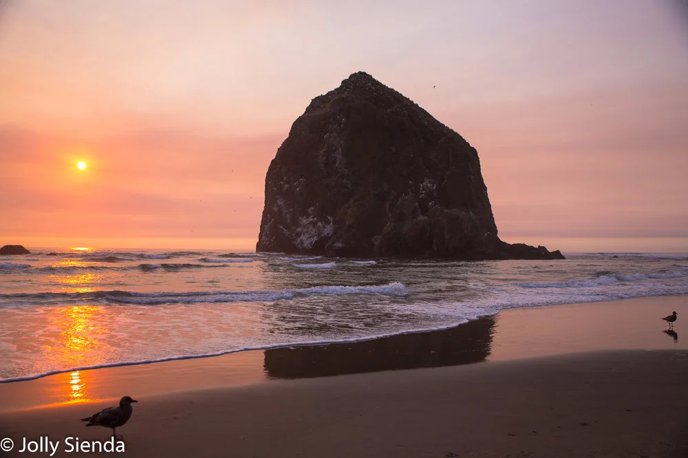 JollySiendaPhotography-5756_blbpqo.jpg