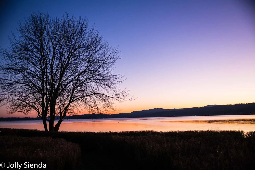 JollySiendaPhotography-5788_slefhp.jpg