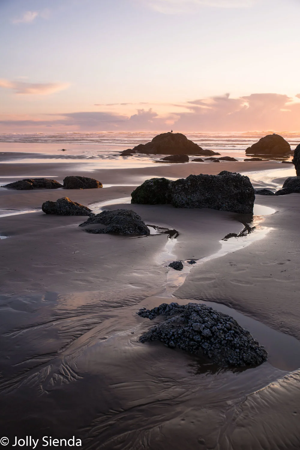 JollySiendaPhotography-6205_zbkmy9.jpg