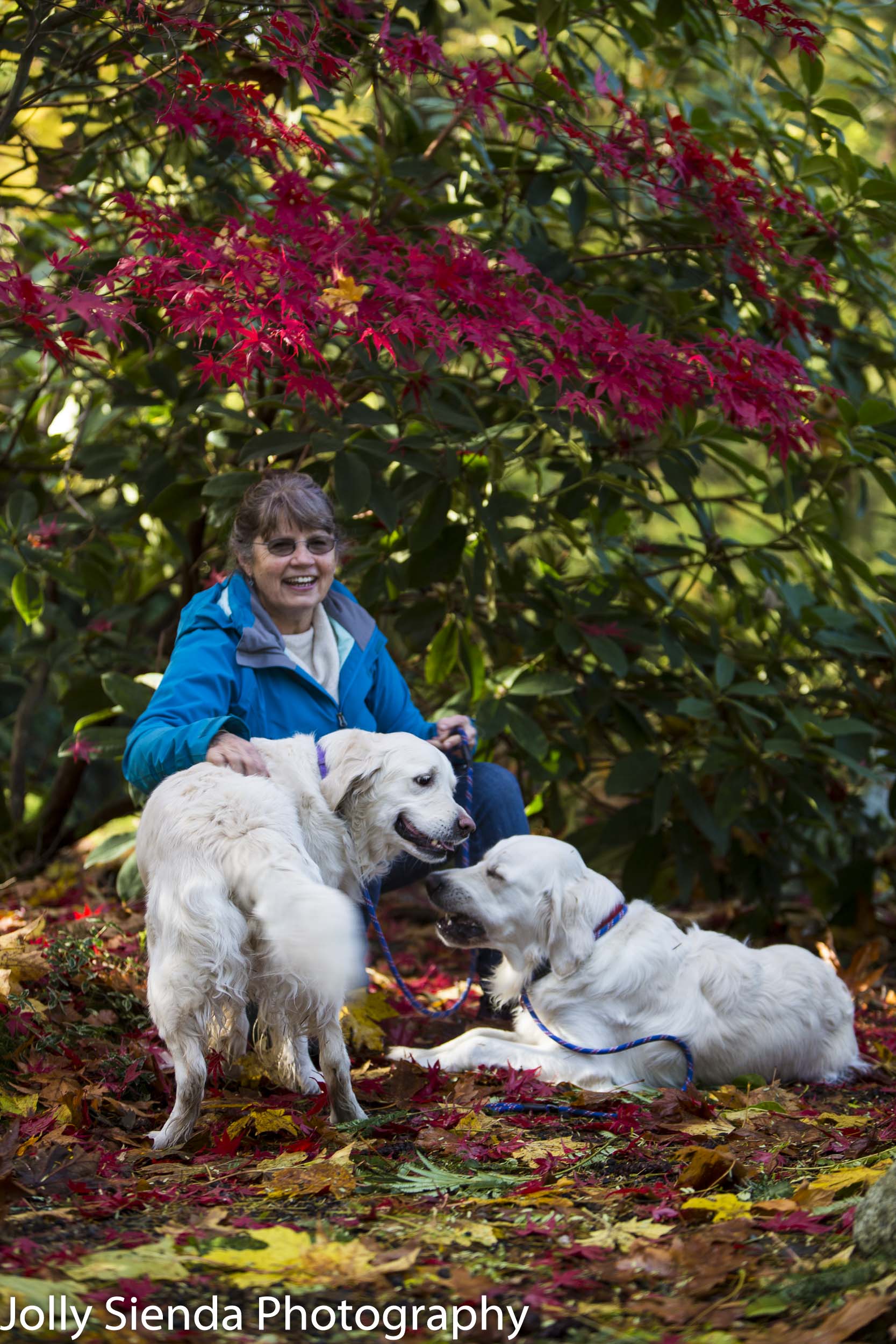 Family portrait photography, Brinkley and Abby Dogs