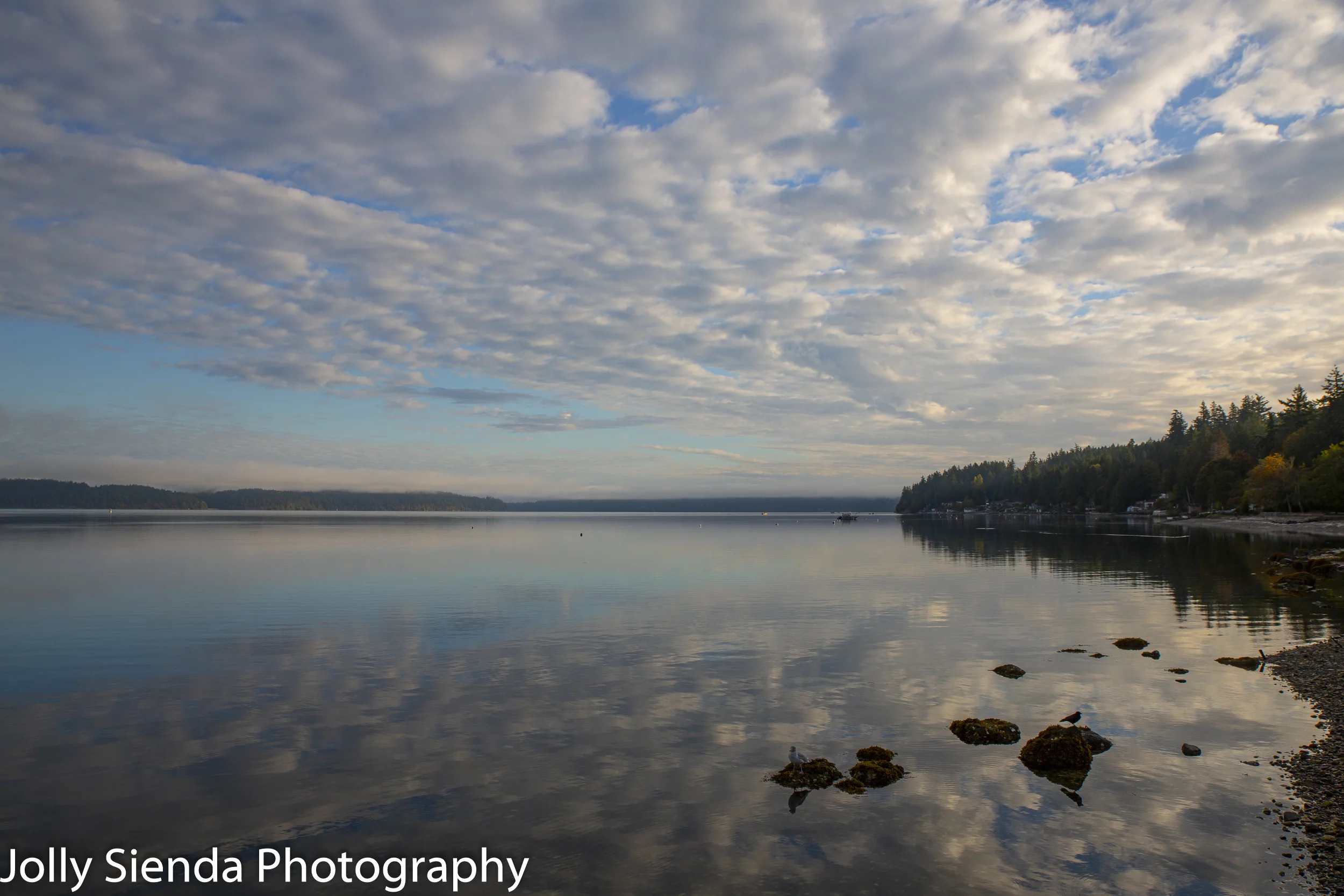Wide angle shot of cumulus clouds over the Hood Canal with a seagull and a crow