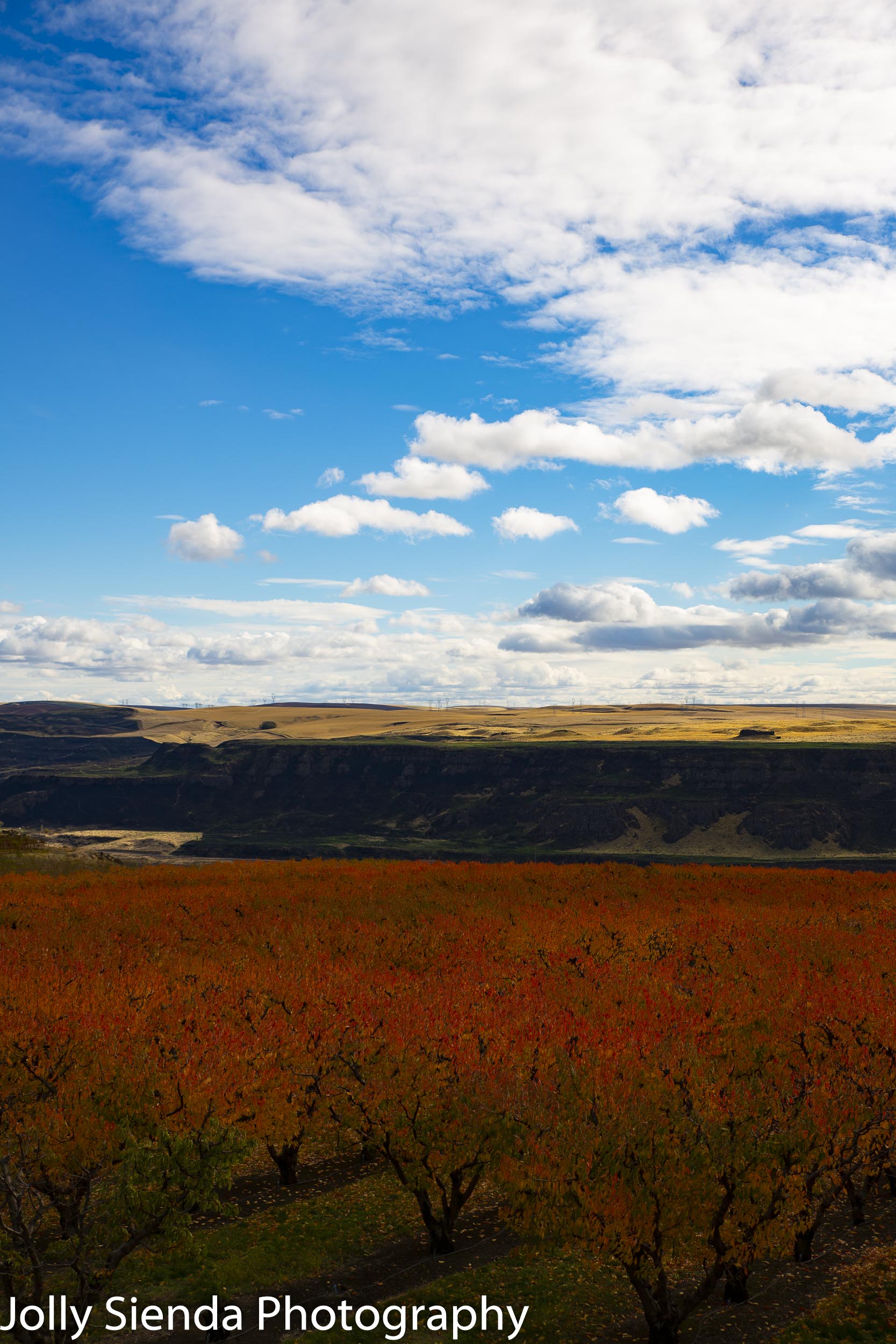 Orange deciduous orchard and high plateau gorge