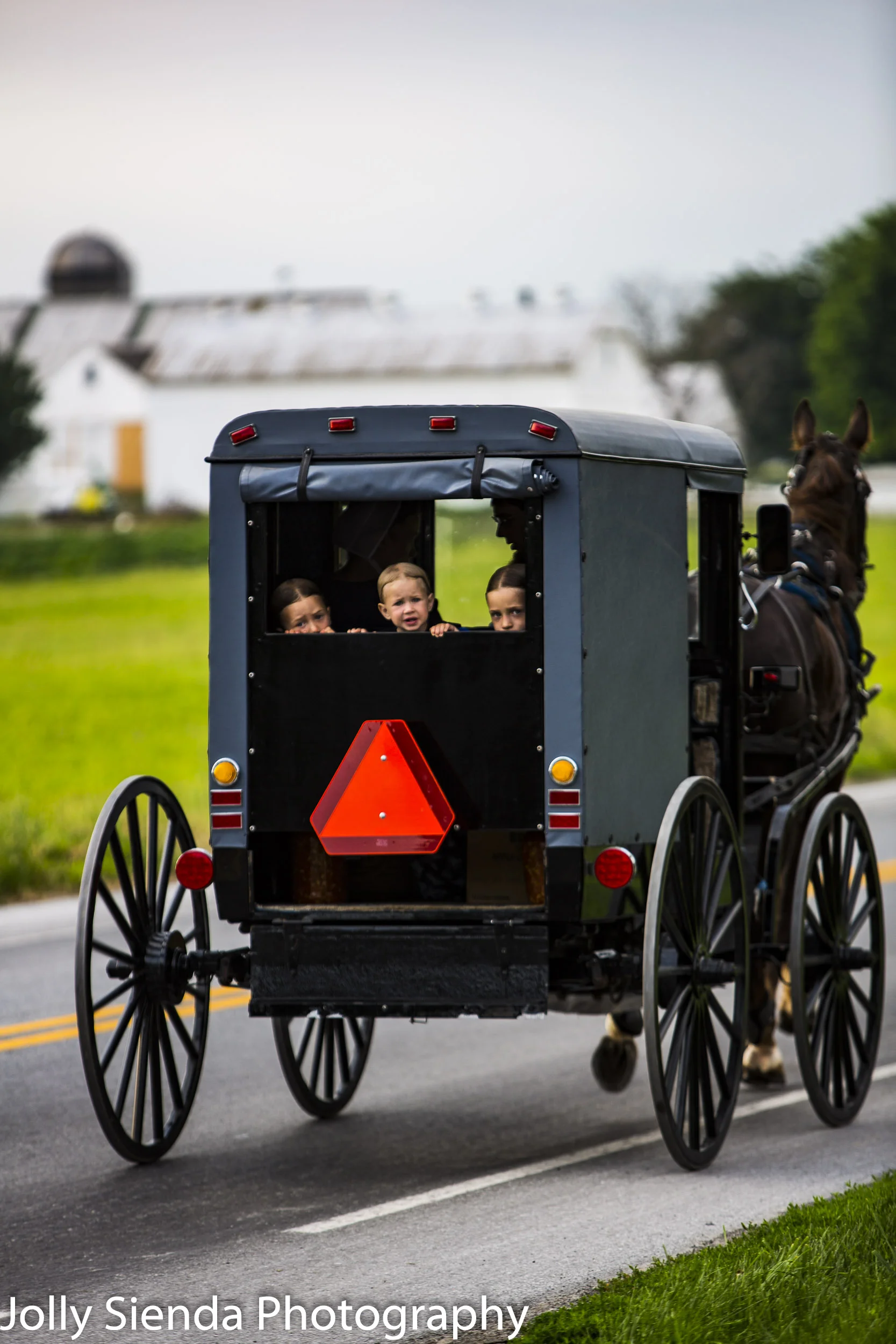 Amish children in a grey buggy