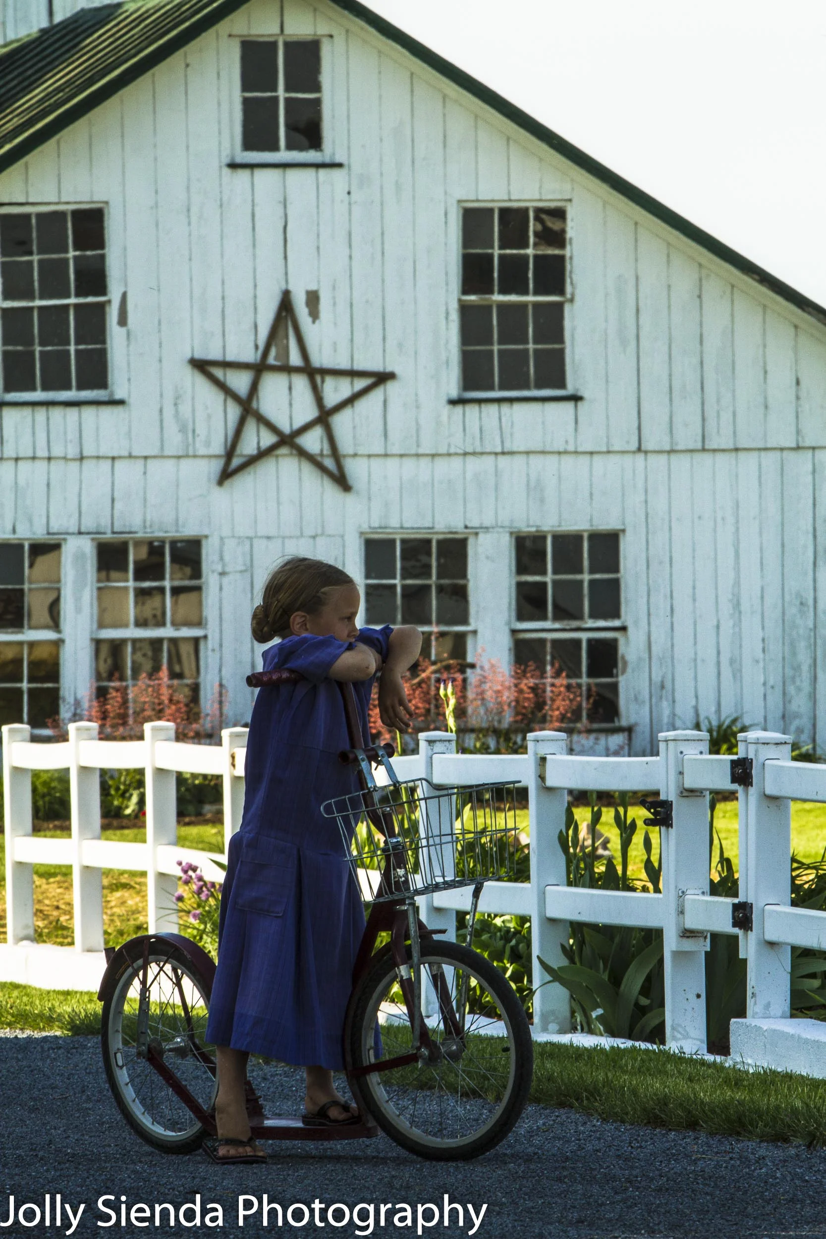 Portrait of an Amish girl posing with her bicycle