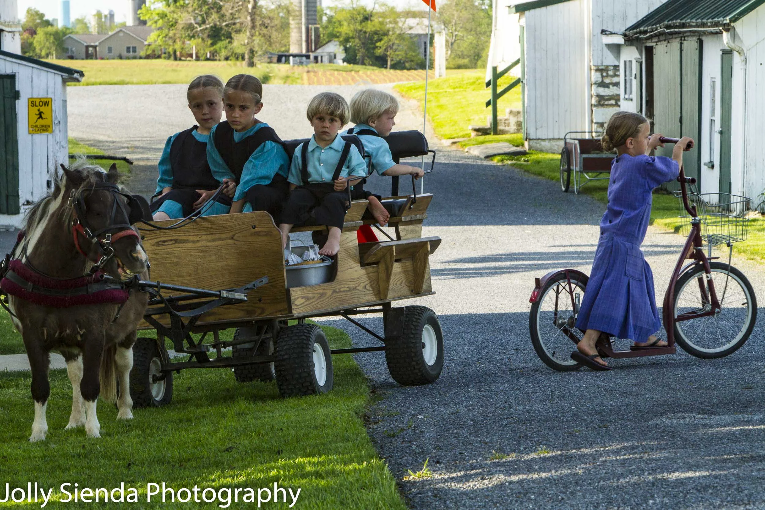 Amish children and a pony cart