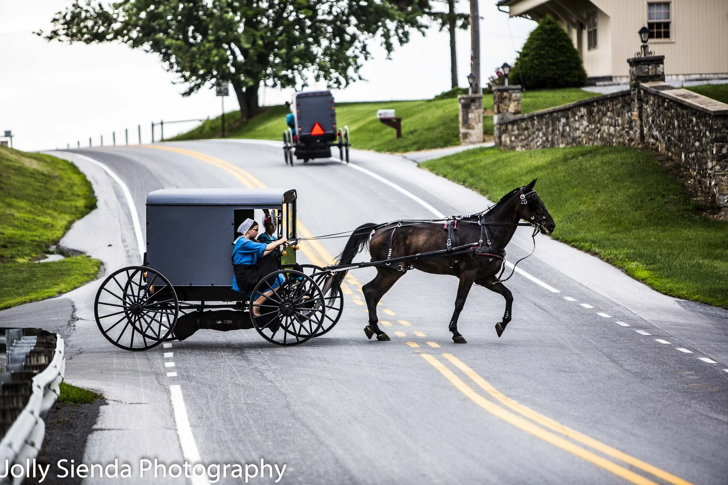 Two Amish buggies; one with Amish girls steering their horse and