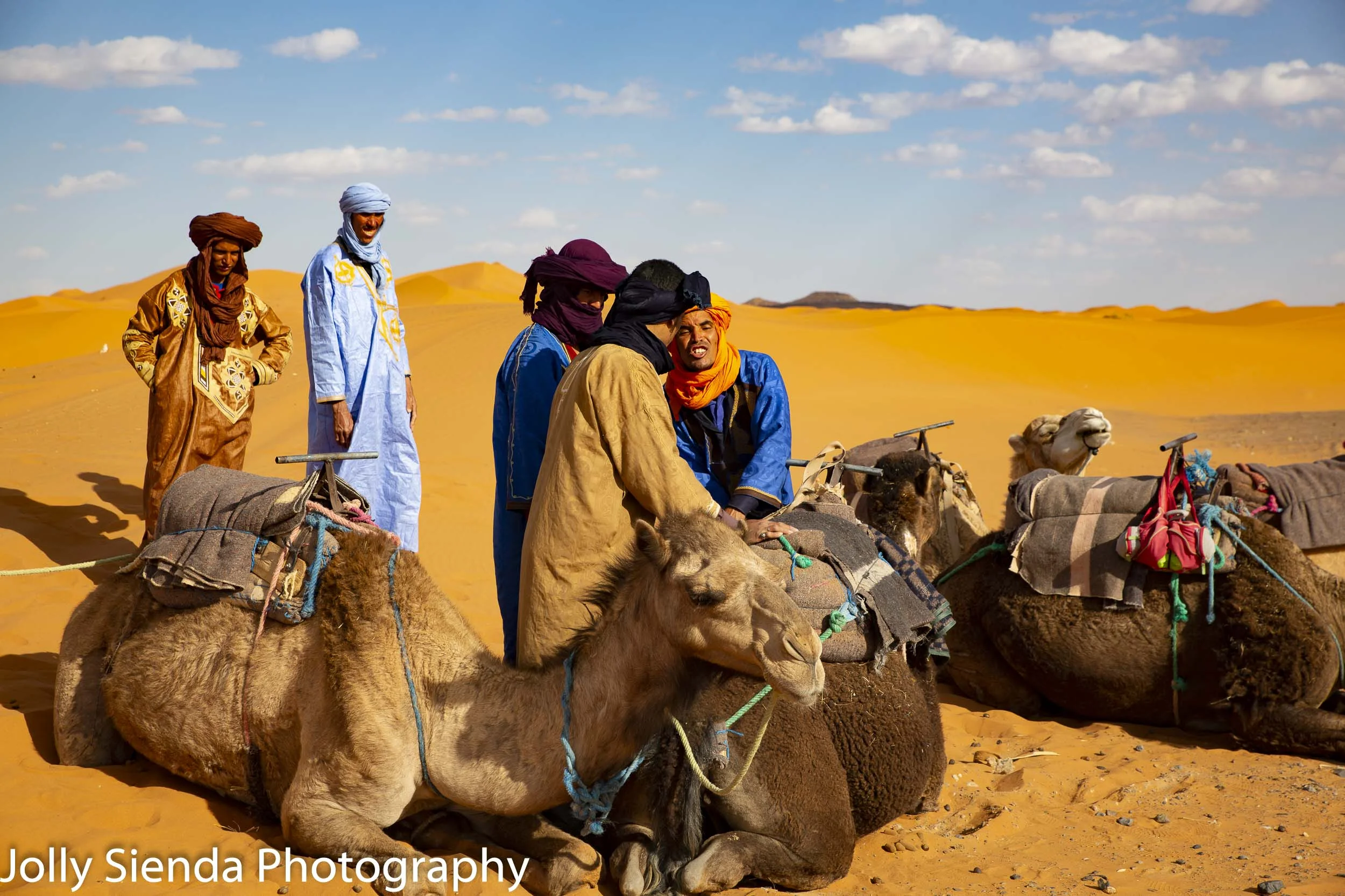Camel herders prepare camels for the trek