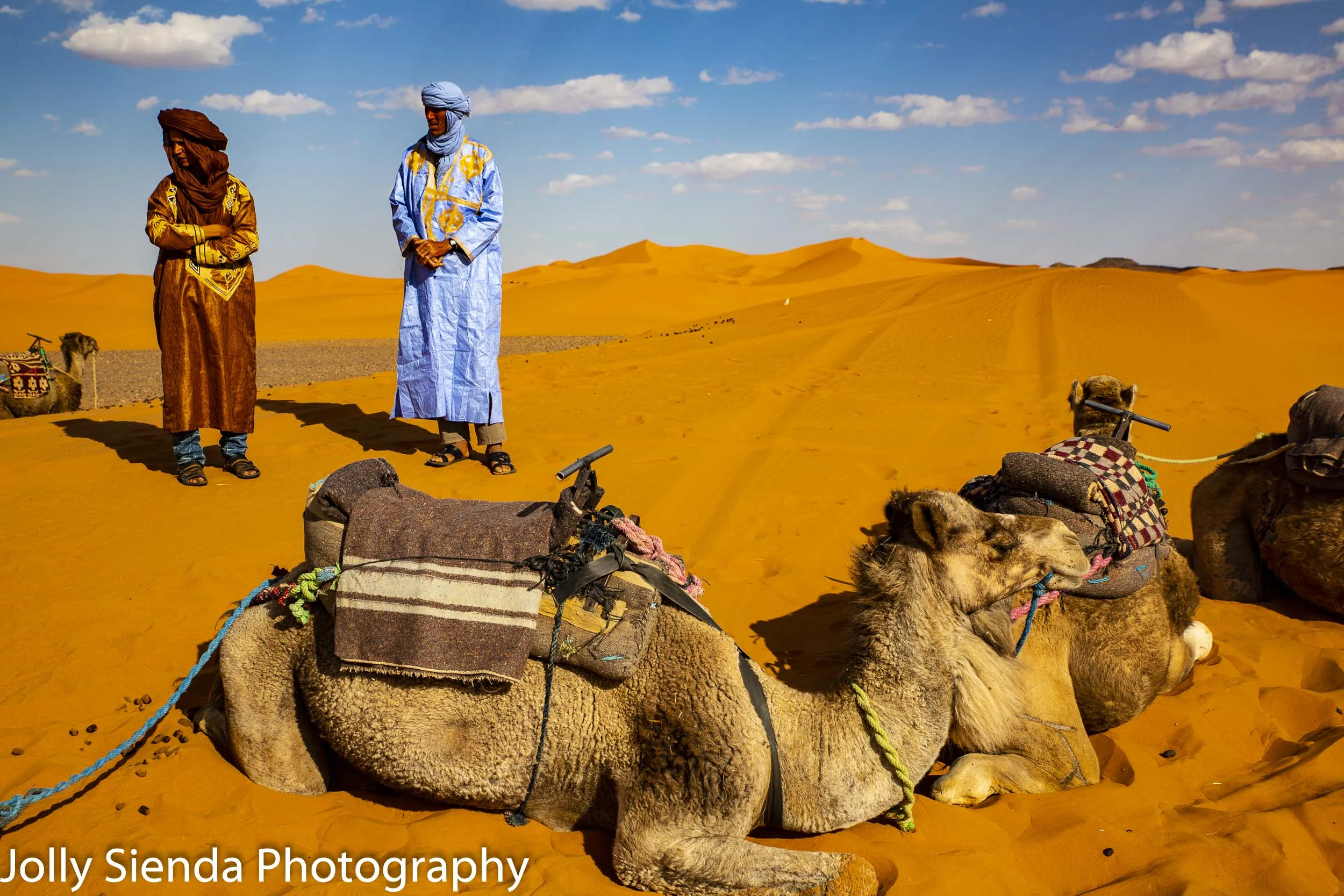 Camel handlers and camels