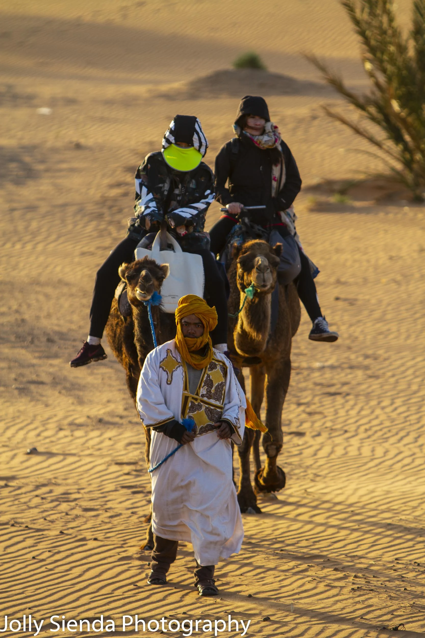 Sunrise camel trek