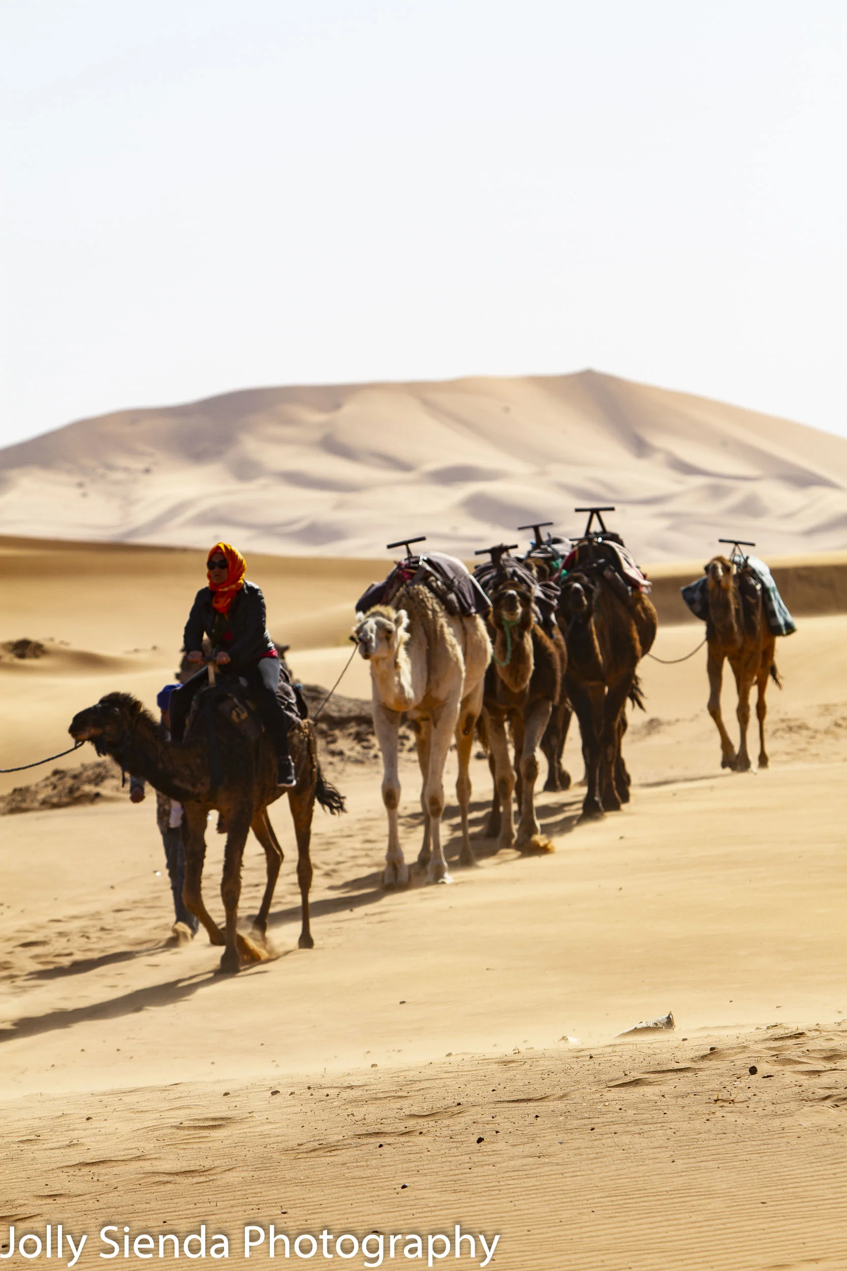 Sahara Desert sunrise camel safari trek