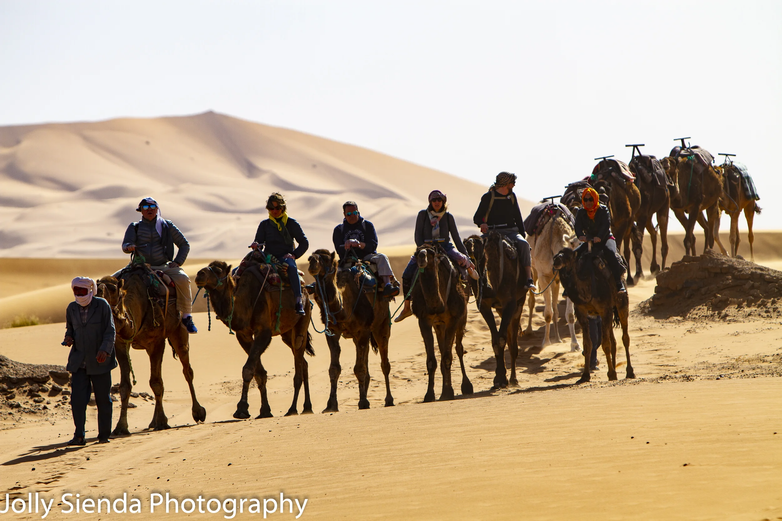 Camel trek at the Sahara Desert