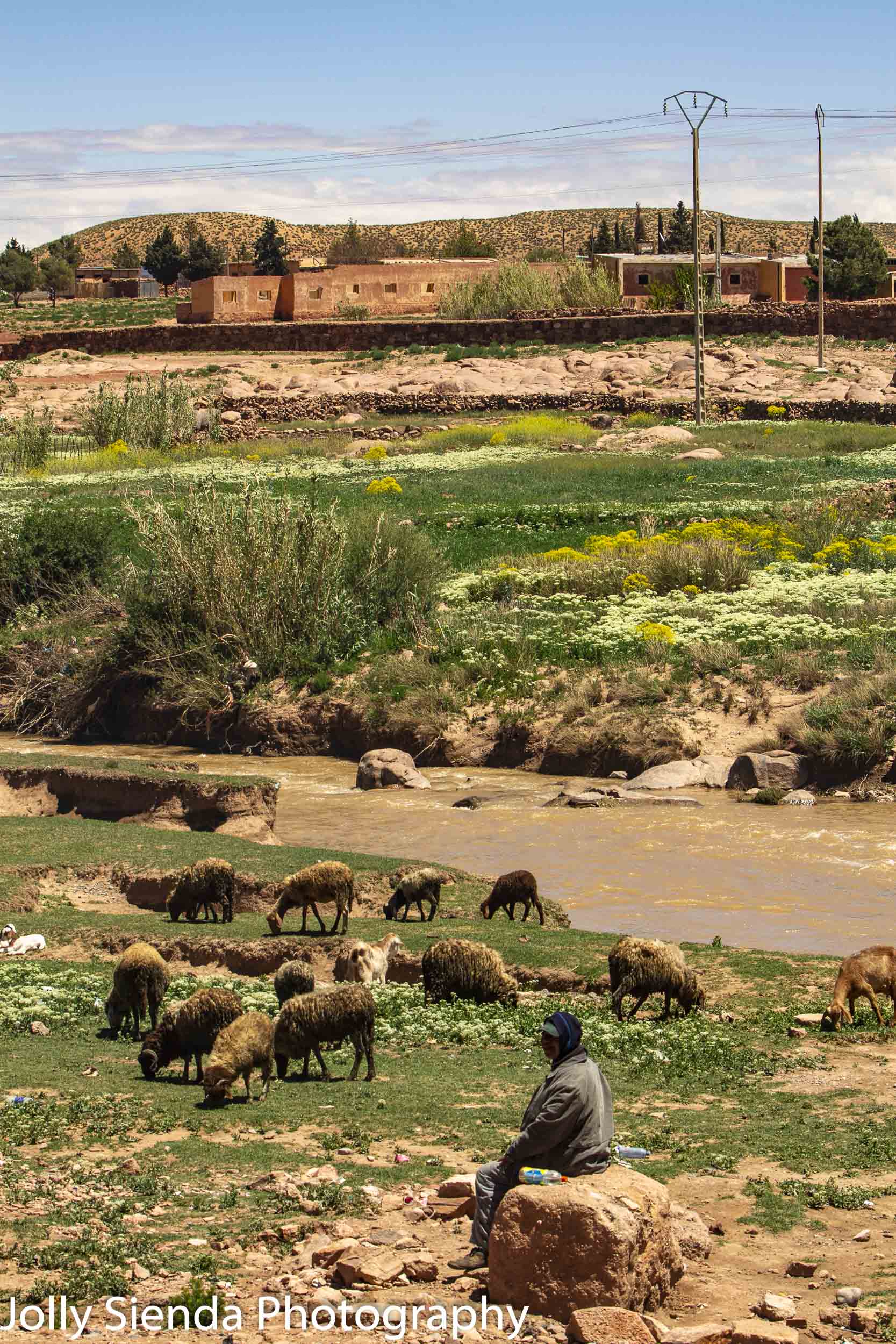 Shepherd by a river with his sheep