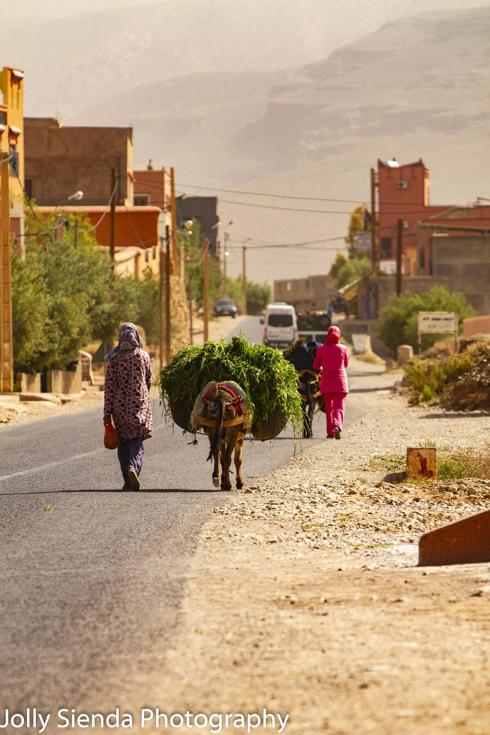 Muslim women and donkeys with grasses on the road