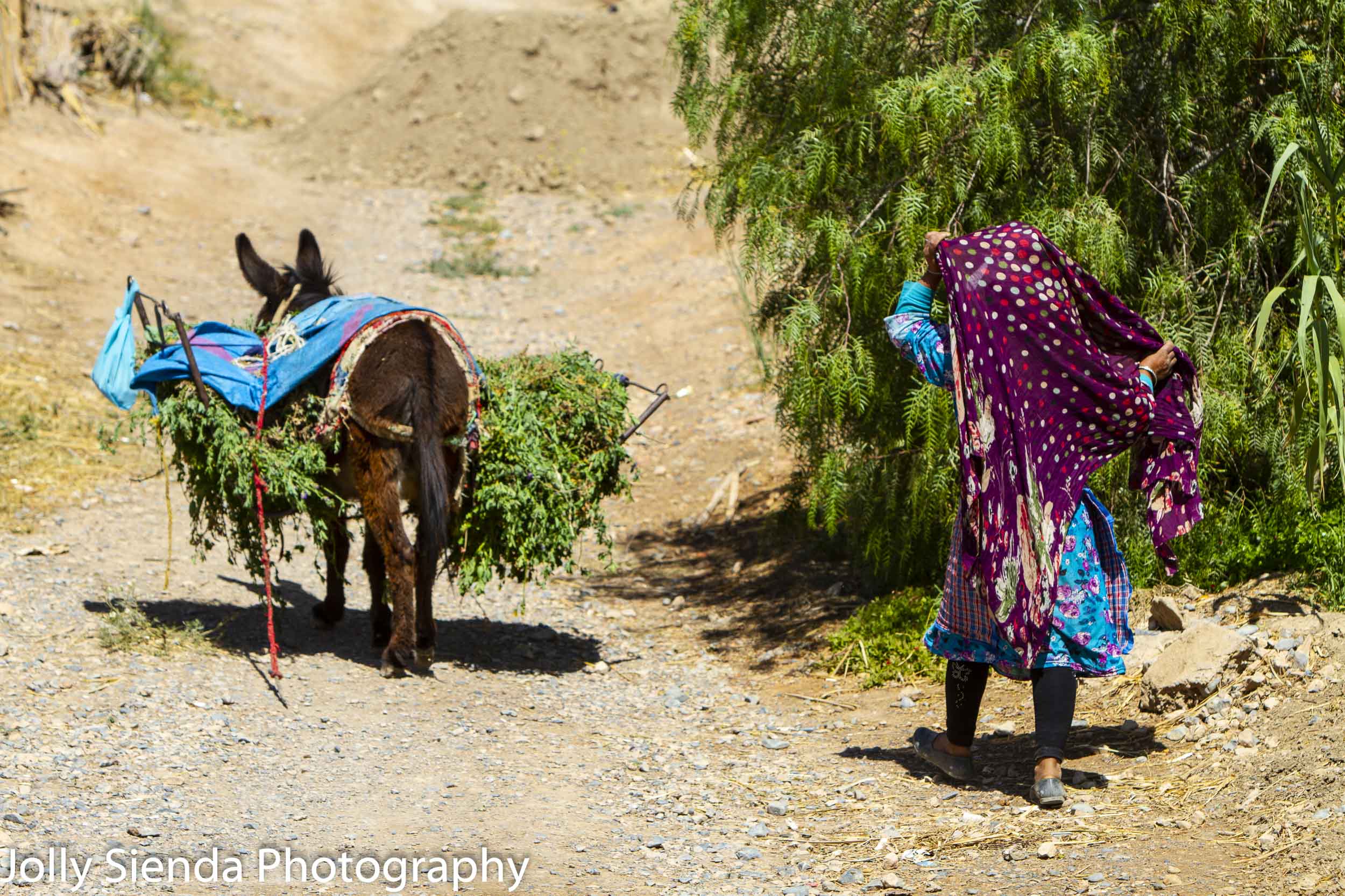 Berber girl follows the donkey