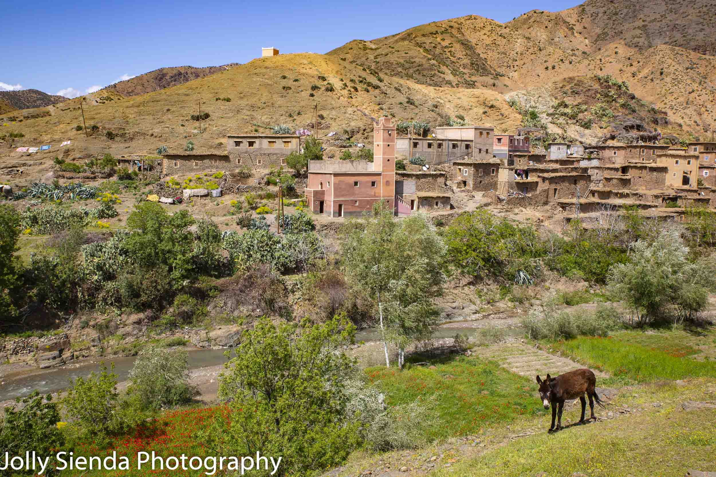 High Atlas Mountain village and a donkey