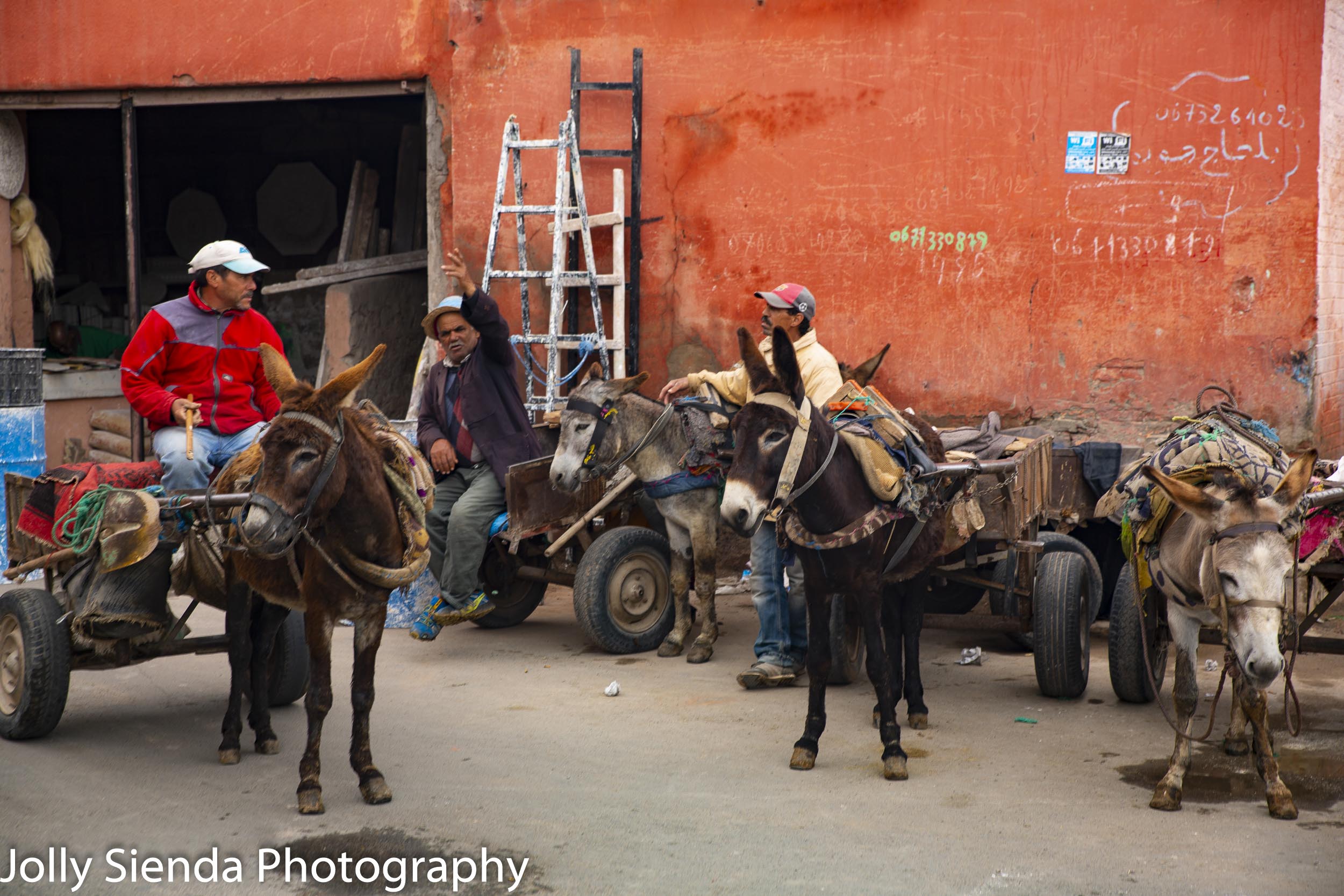 Men rest in the souk with their donkeys
