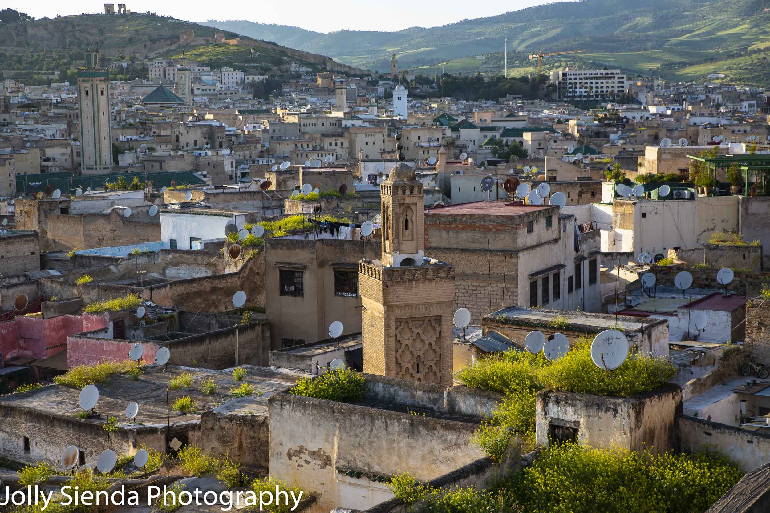 Ancient city of Fes, its mosques and tile roofs