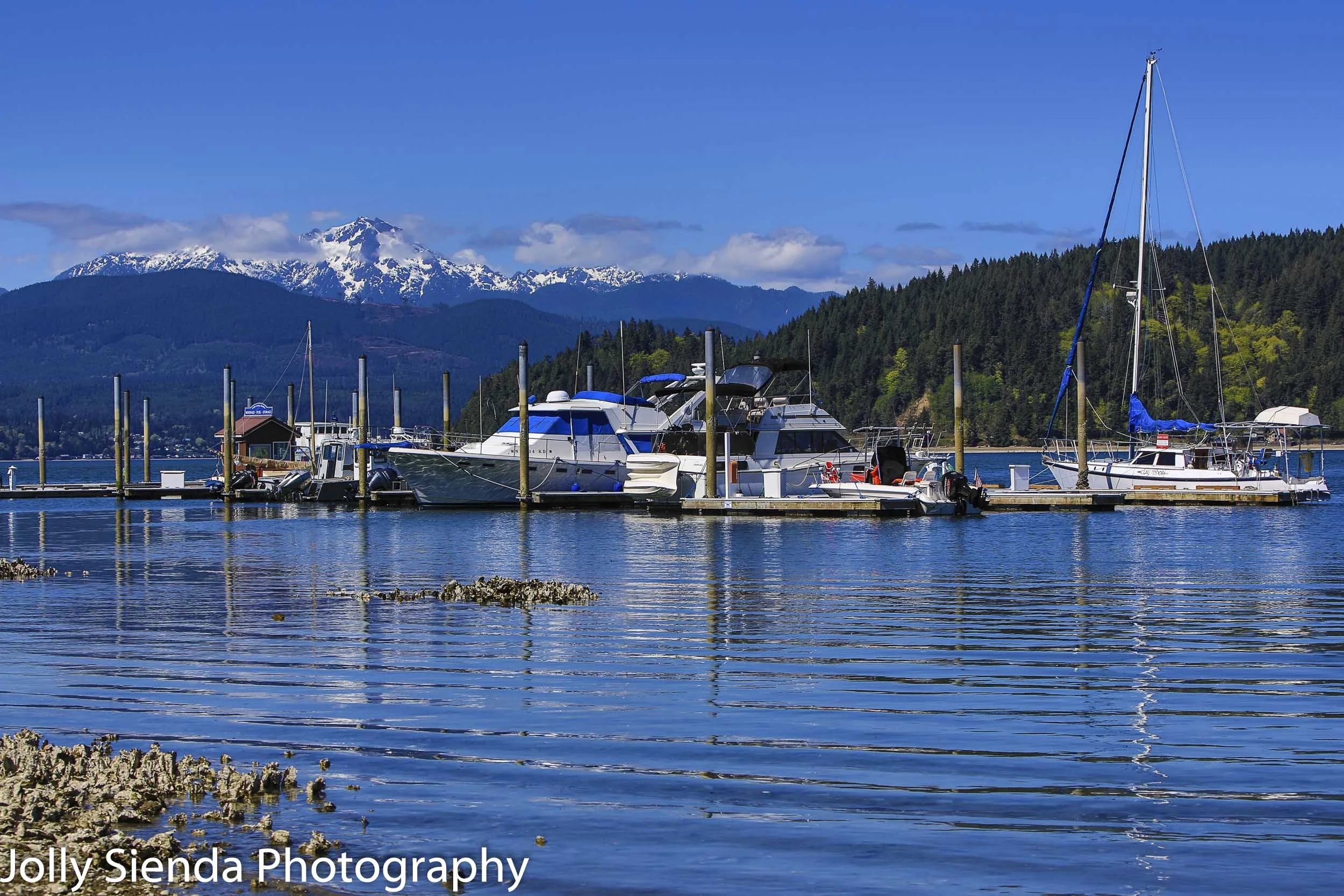 Marina on Hoods Canal with Mount Washington