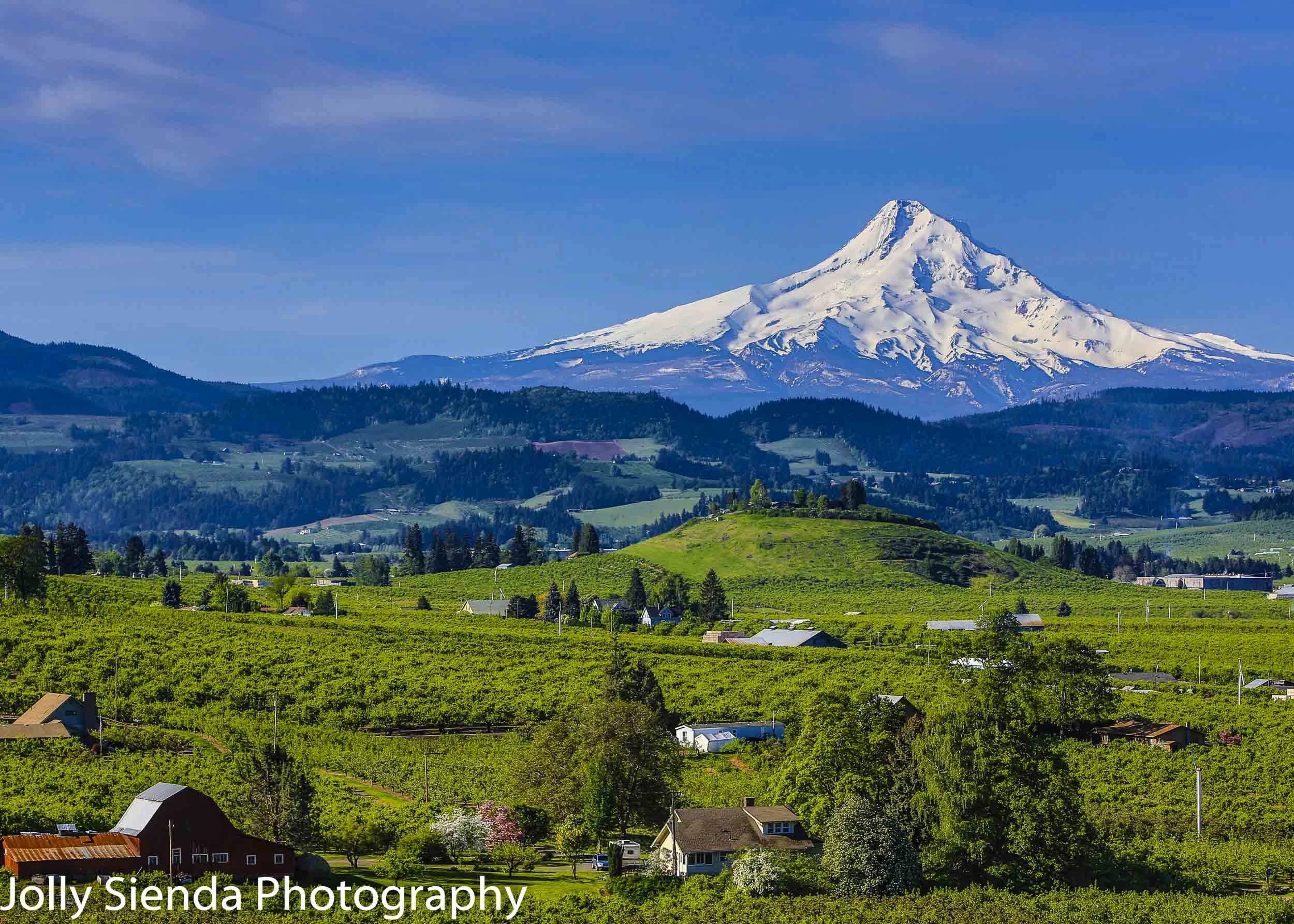 Snow Capped Mount Hood, Red Barn, Farms, and the Hood River Vall