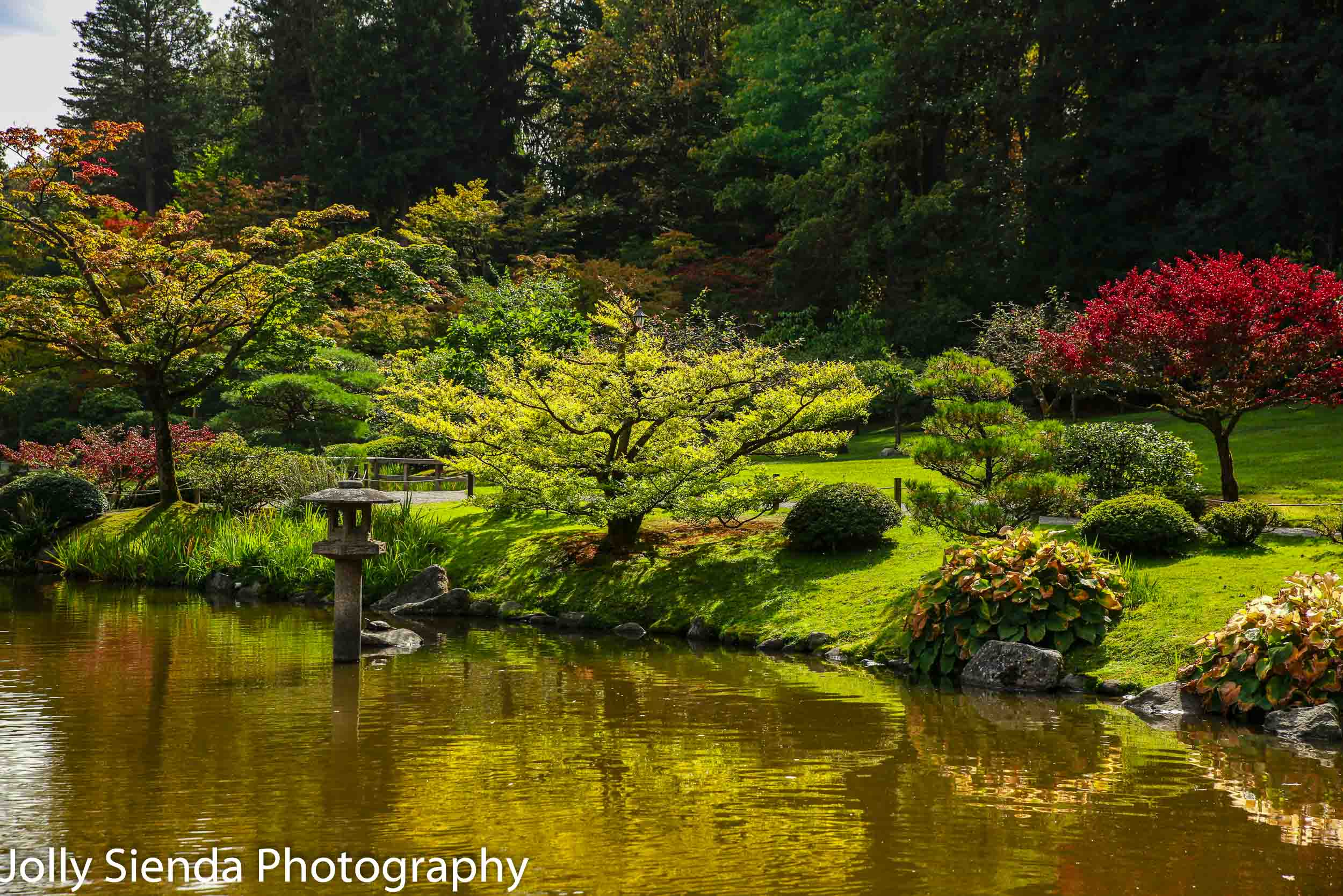 Shades of autumn color at the Seattle Japanese Garden