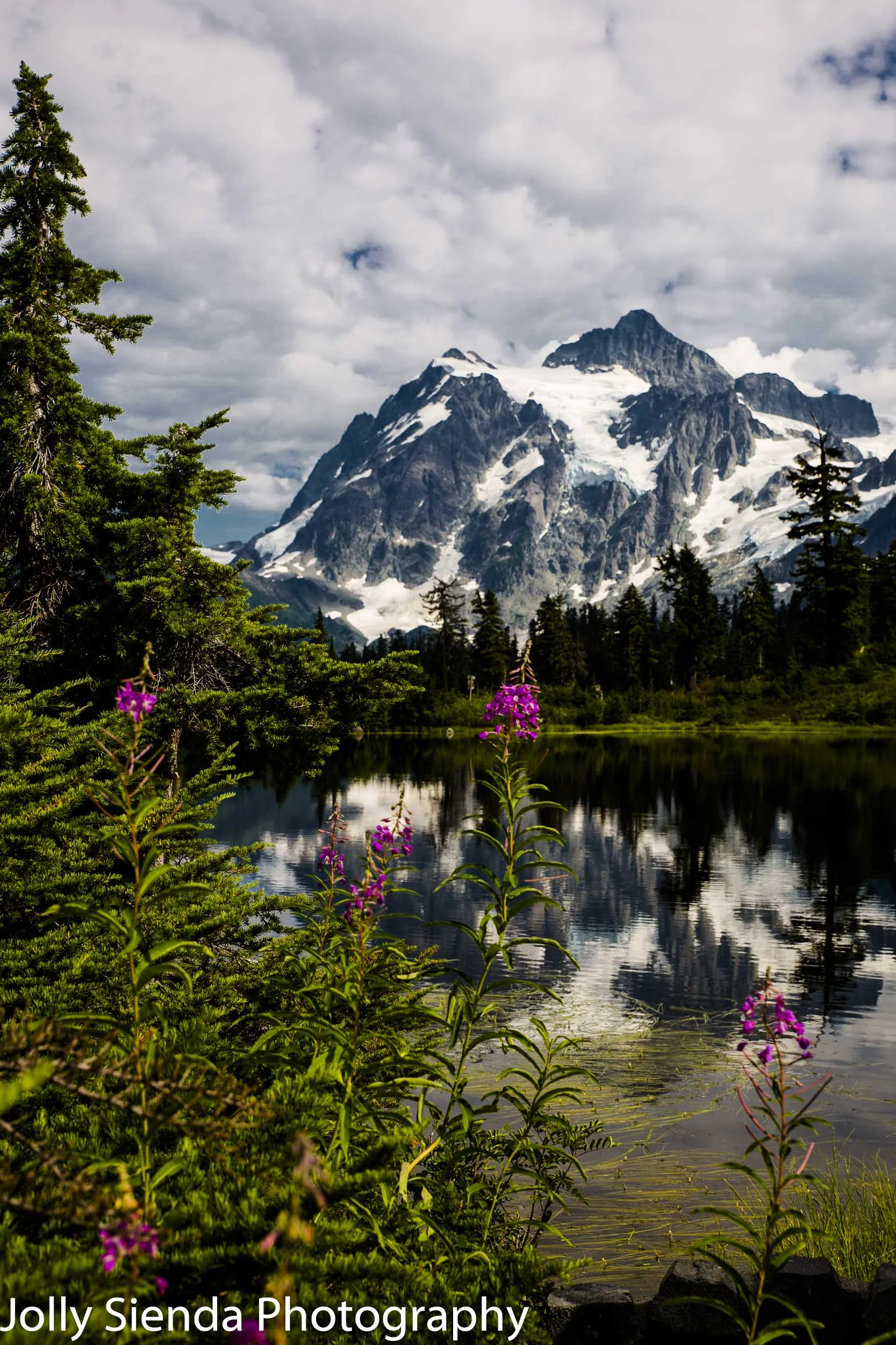 Mount Shuksan, lupins, and Heather Lake