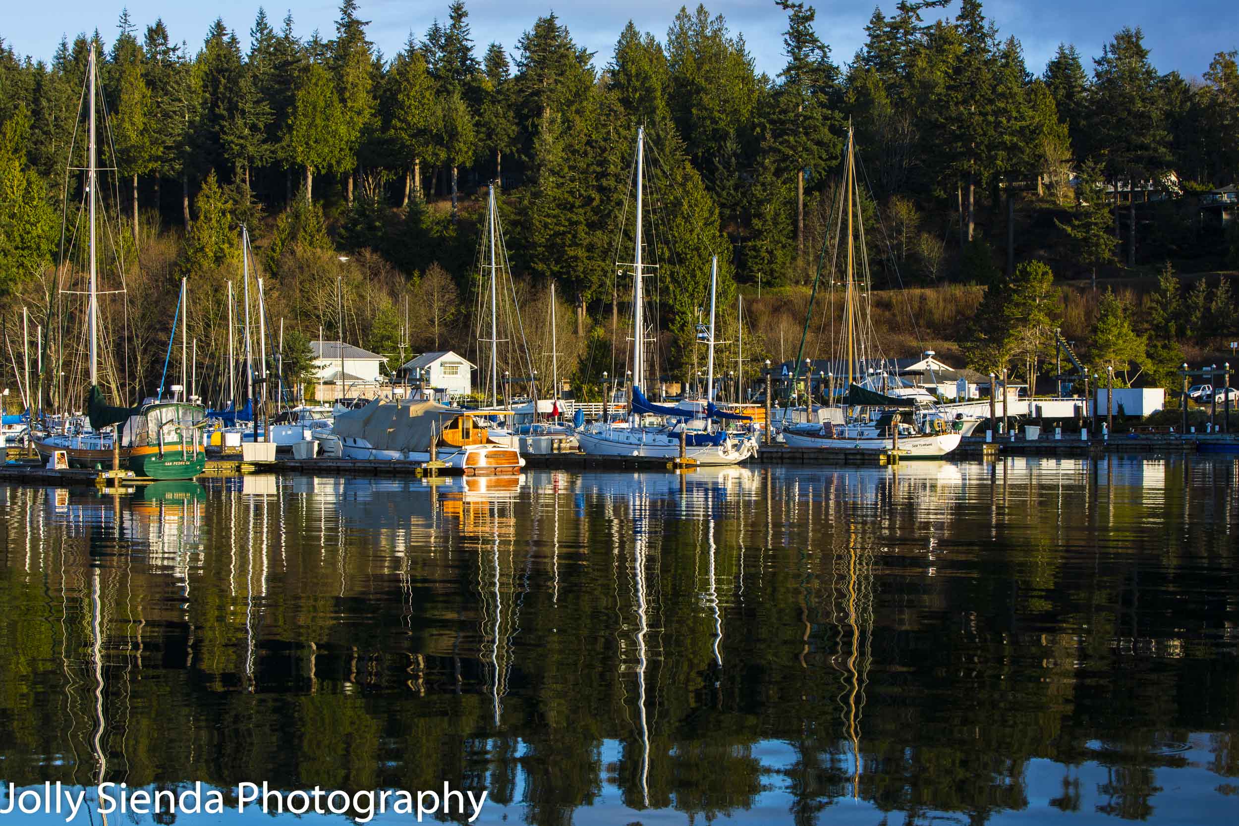 Splash of reflected color of evergreen trees and colored boats o
