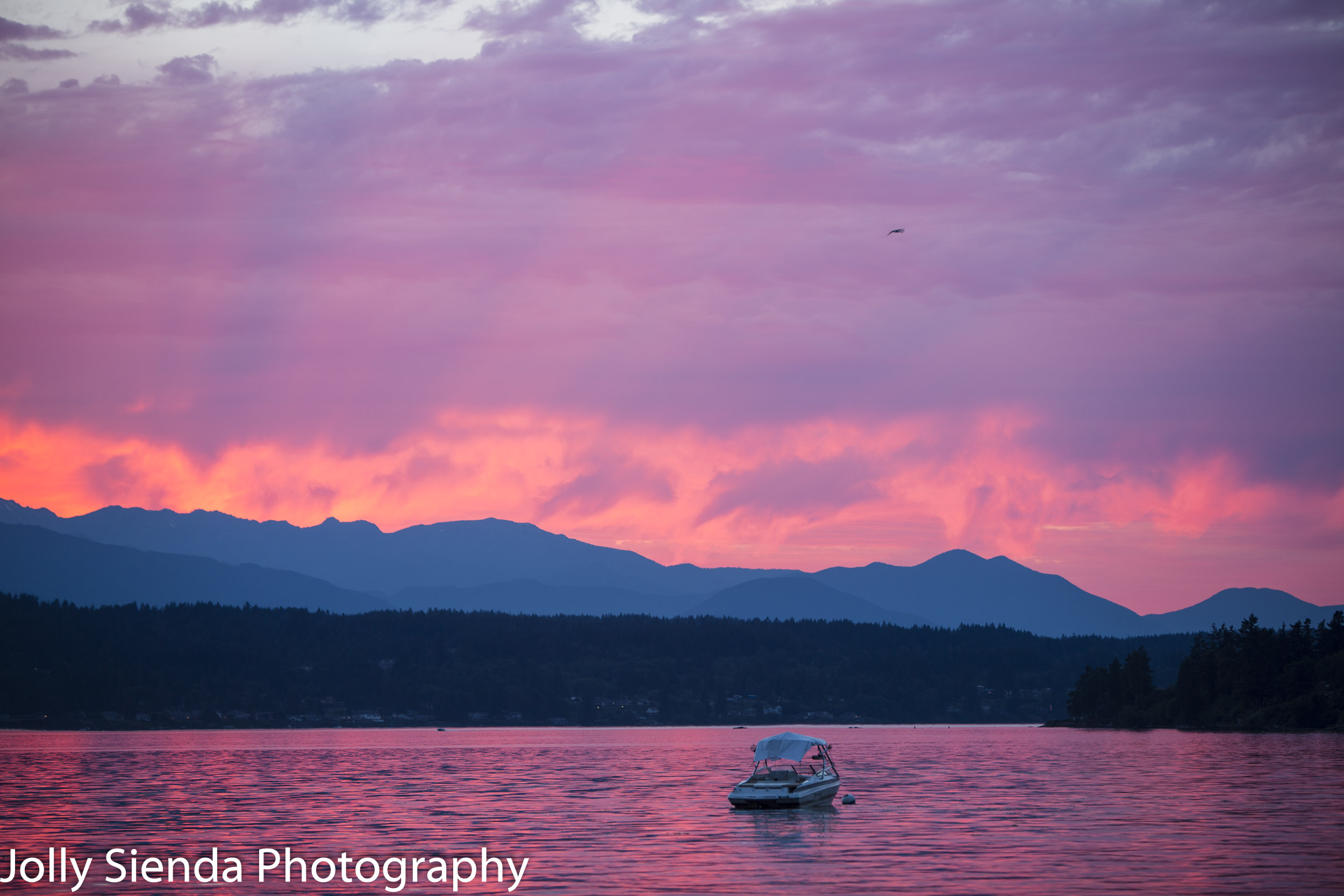 Magenta sunset rains color over a boat on the bay and the Olympi