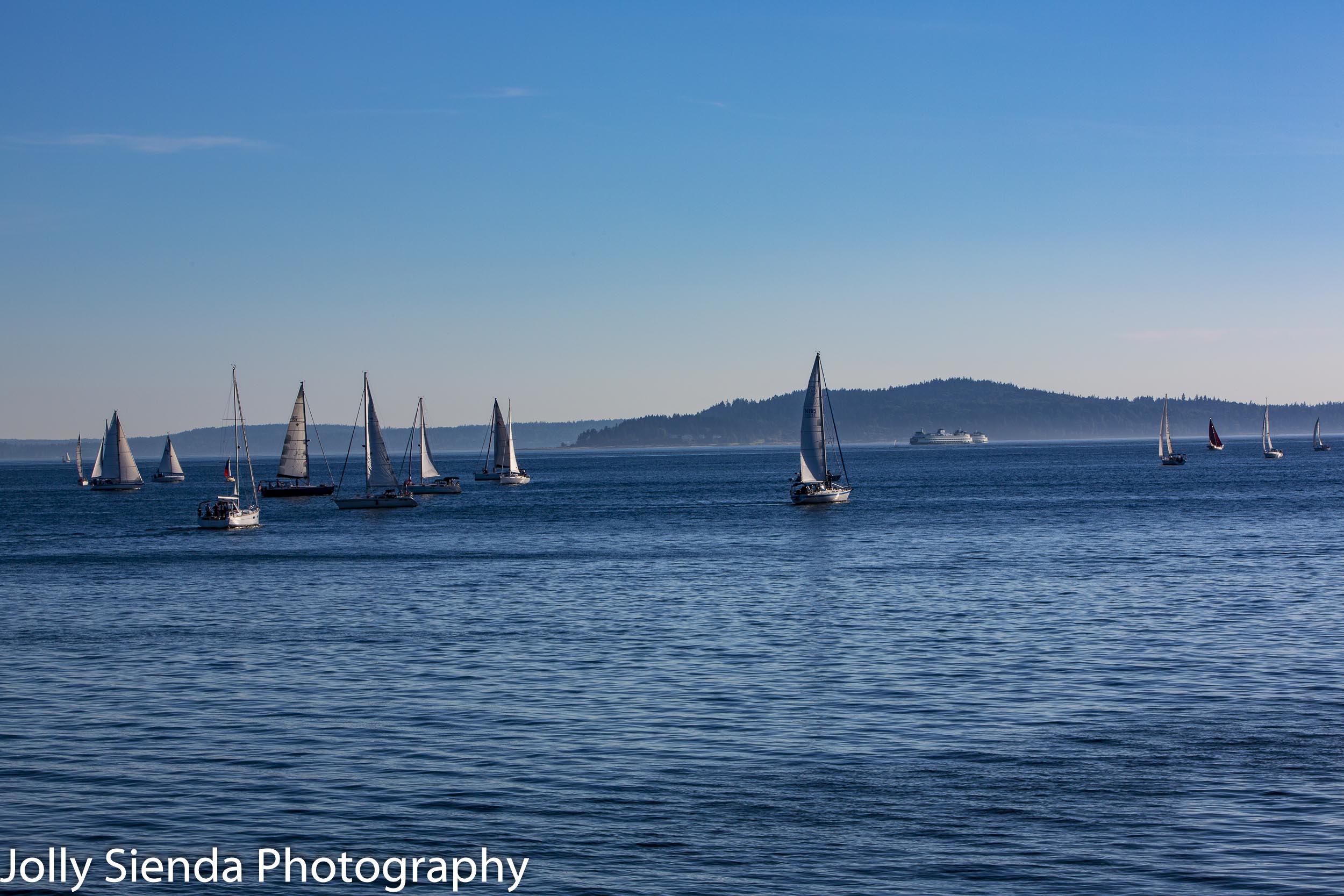 Sailboat regatta race and a ferry boat on the bay