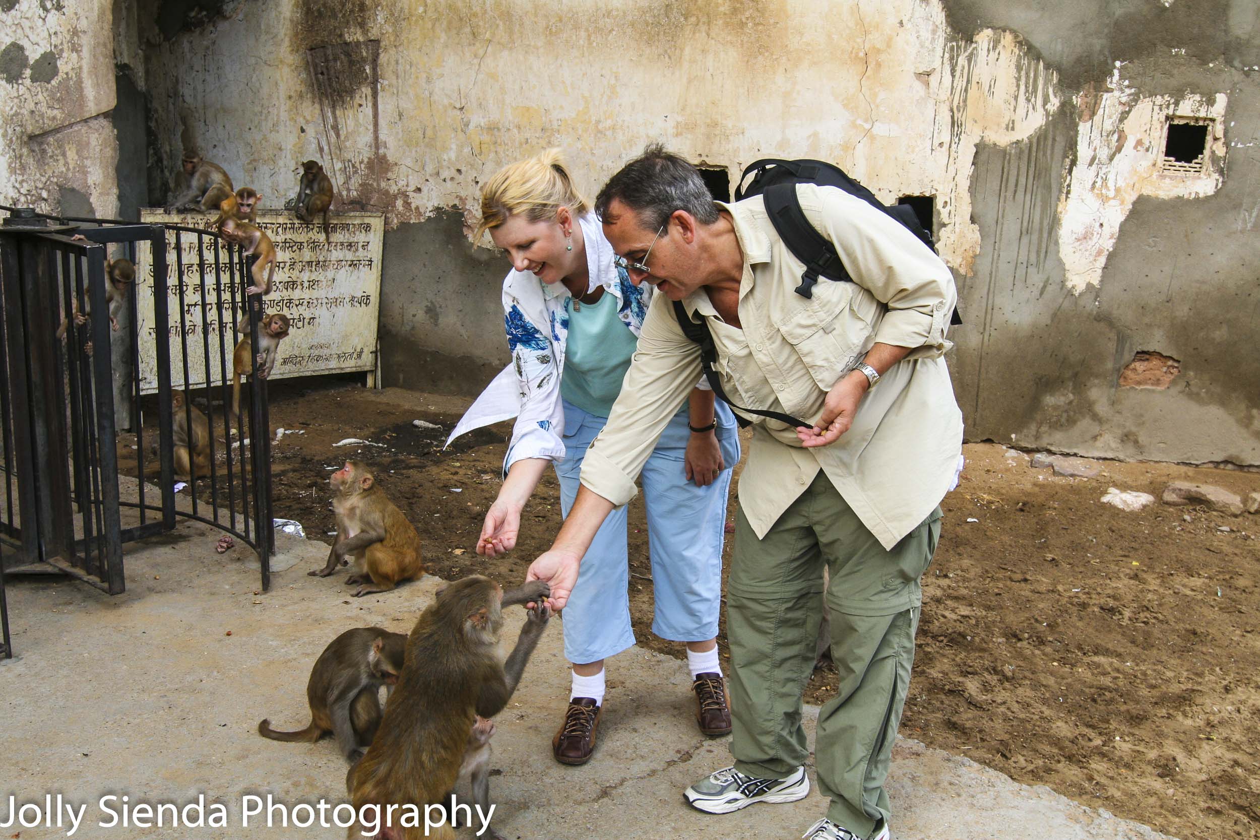 Jolly and Rich feed monkeys at the Monkey Temple