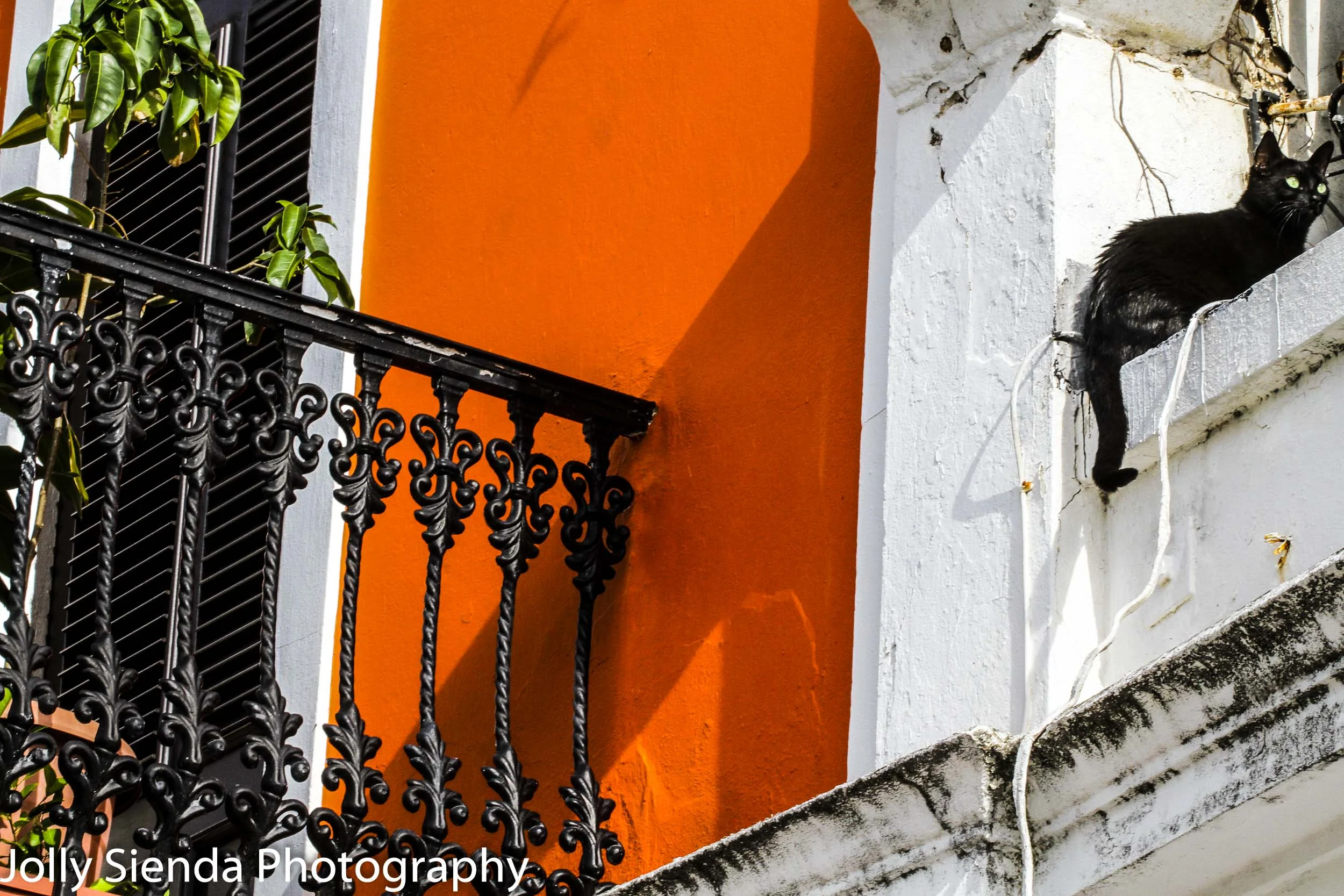 The black cat with green eyes sits on a white washed wall, near 