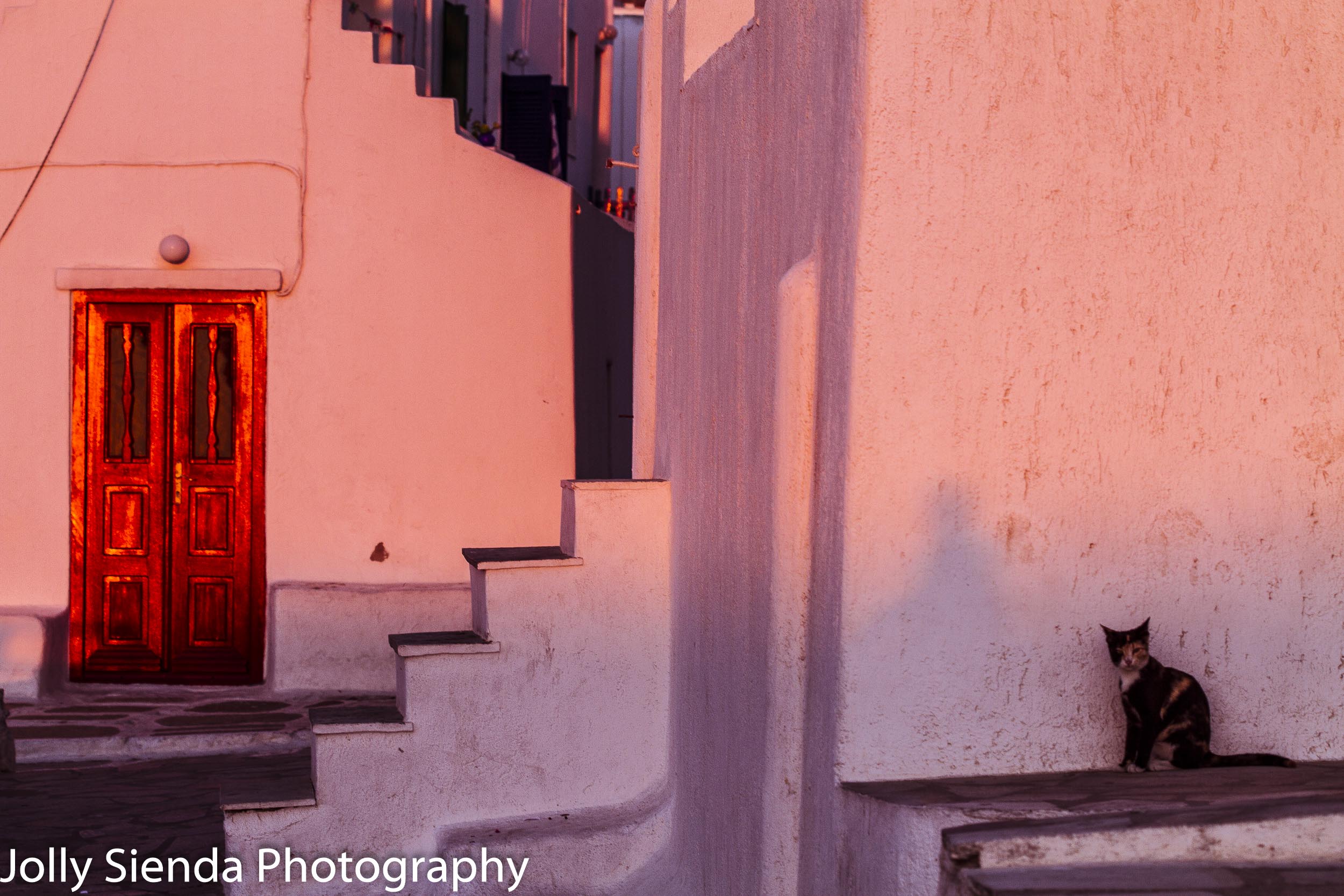 Red Door and the Calico Cat at Sunset, fine art photography
