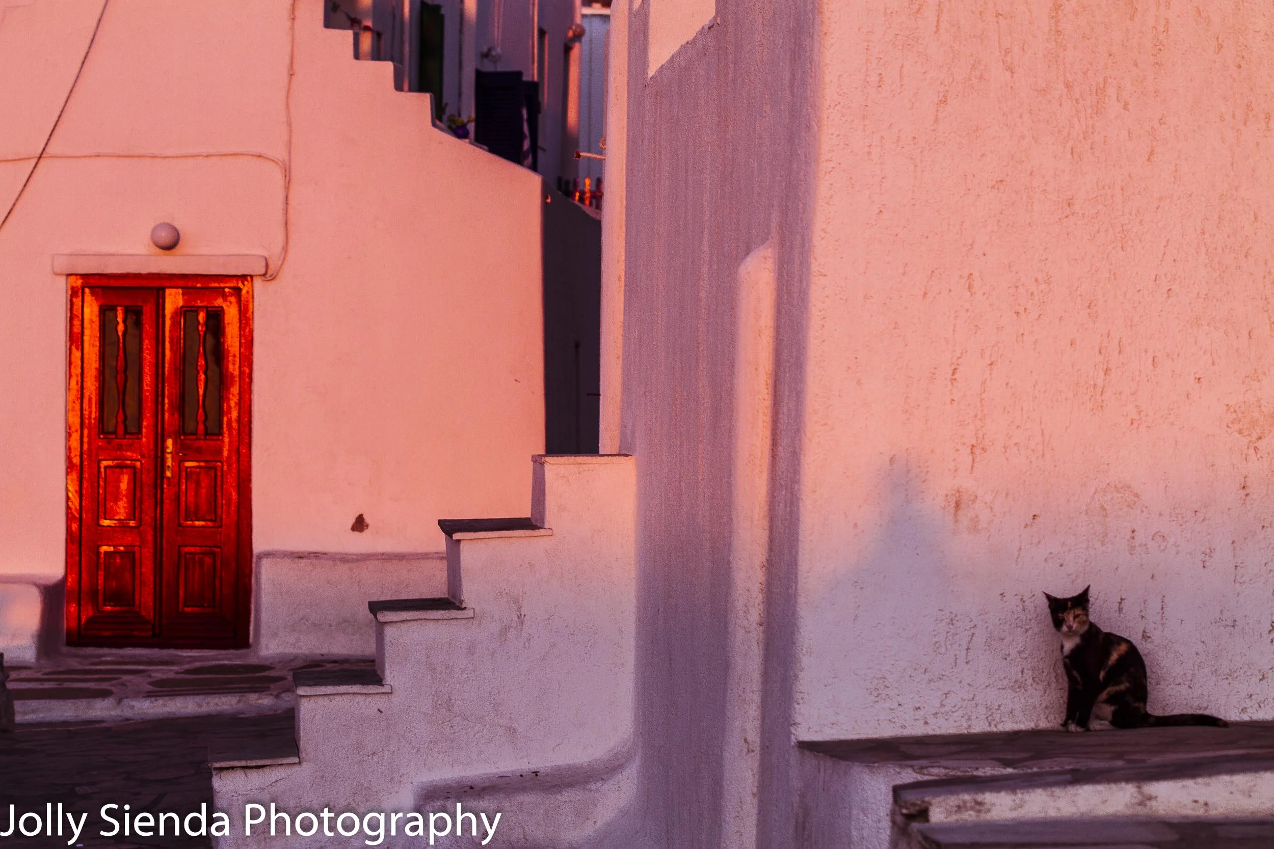 Red Door and the Calico Cat at Sunset, fine art photography