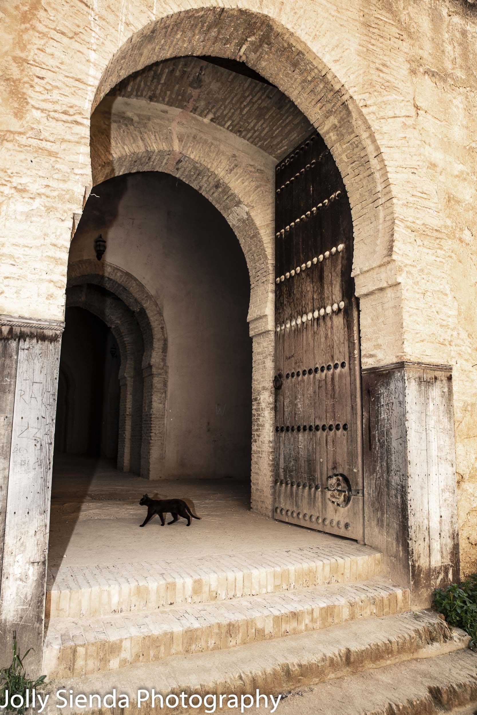 Black cat under an Moroccan arch door