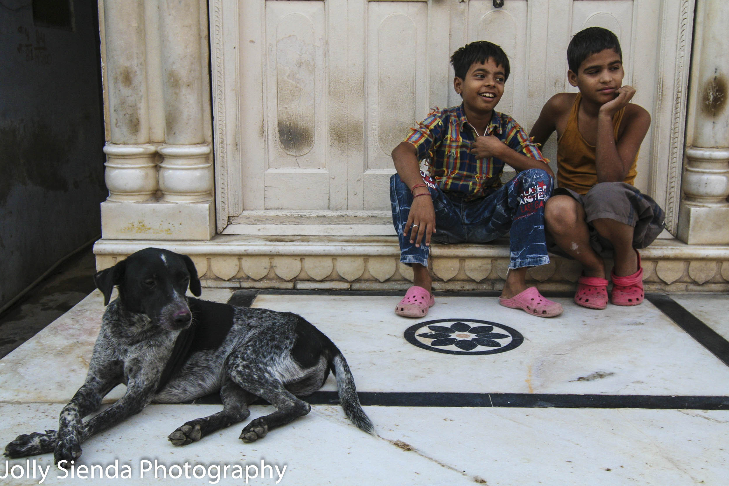 Boys laugh with their dog crossing his paws
