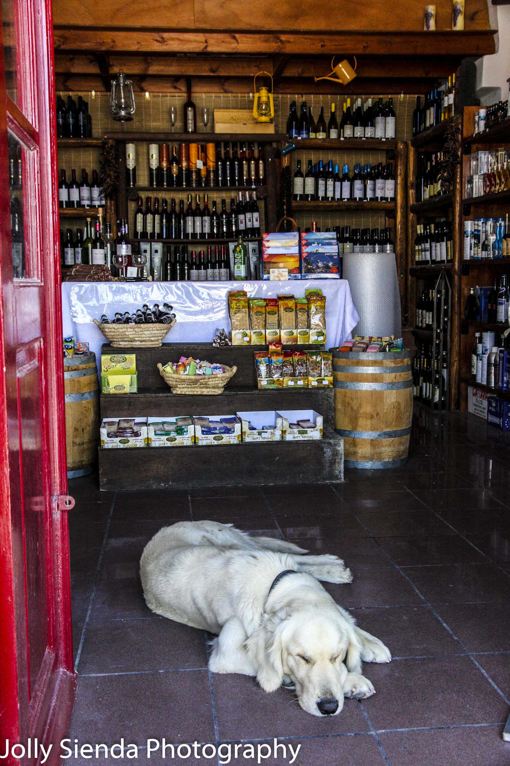 Sleeping dog lies on tile floor in a shop with a red door