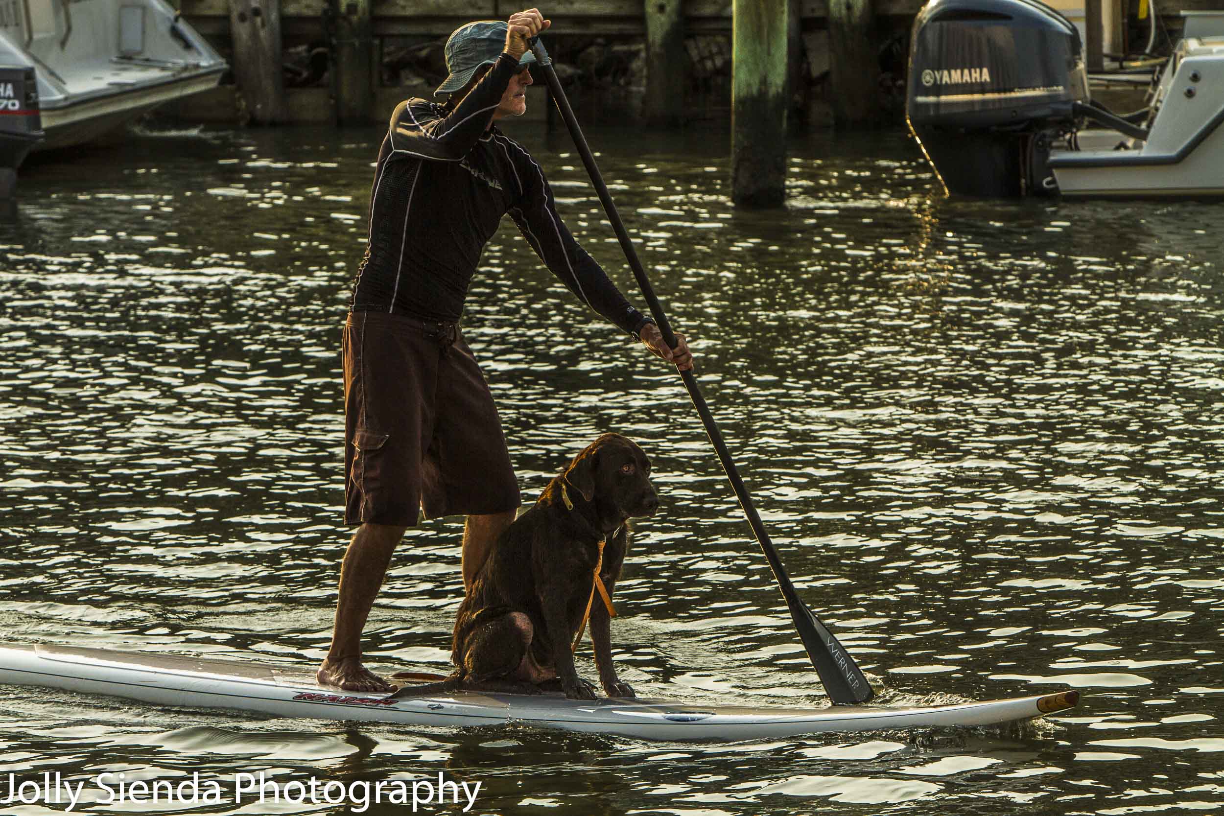 Paddle Boarder and his dog on paddle on Shem Creek