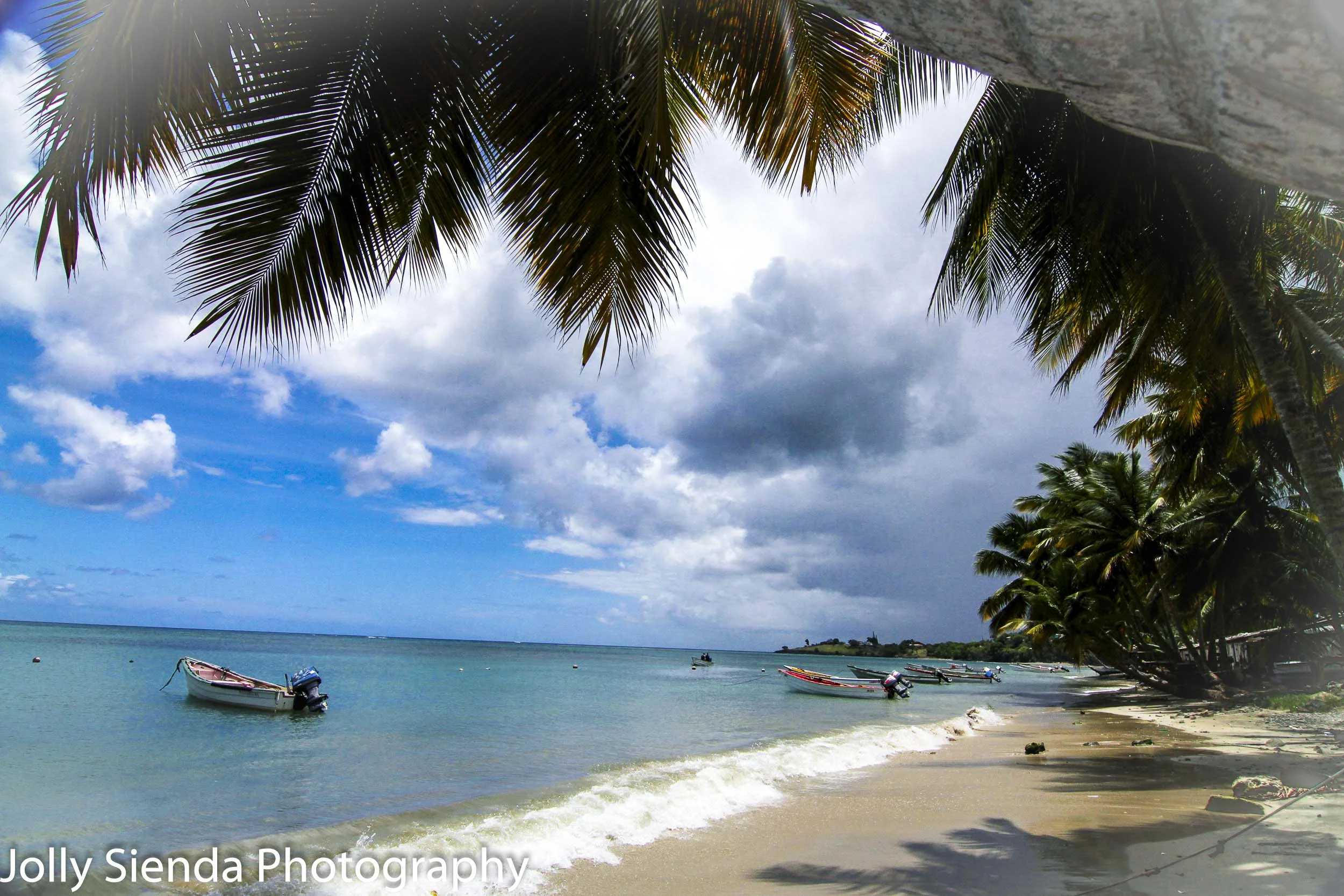 Palm trees bow over the blue water framing the colored boats off
