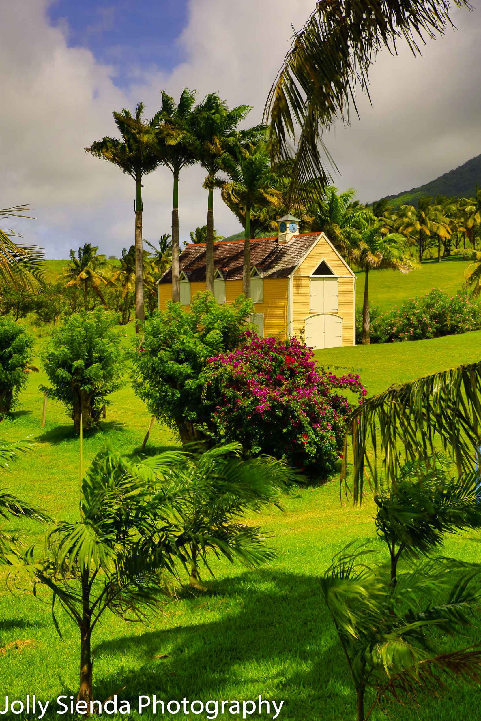 The Yellow Caribbean Barn on St. Kitts